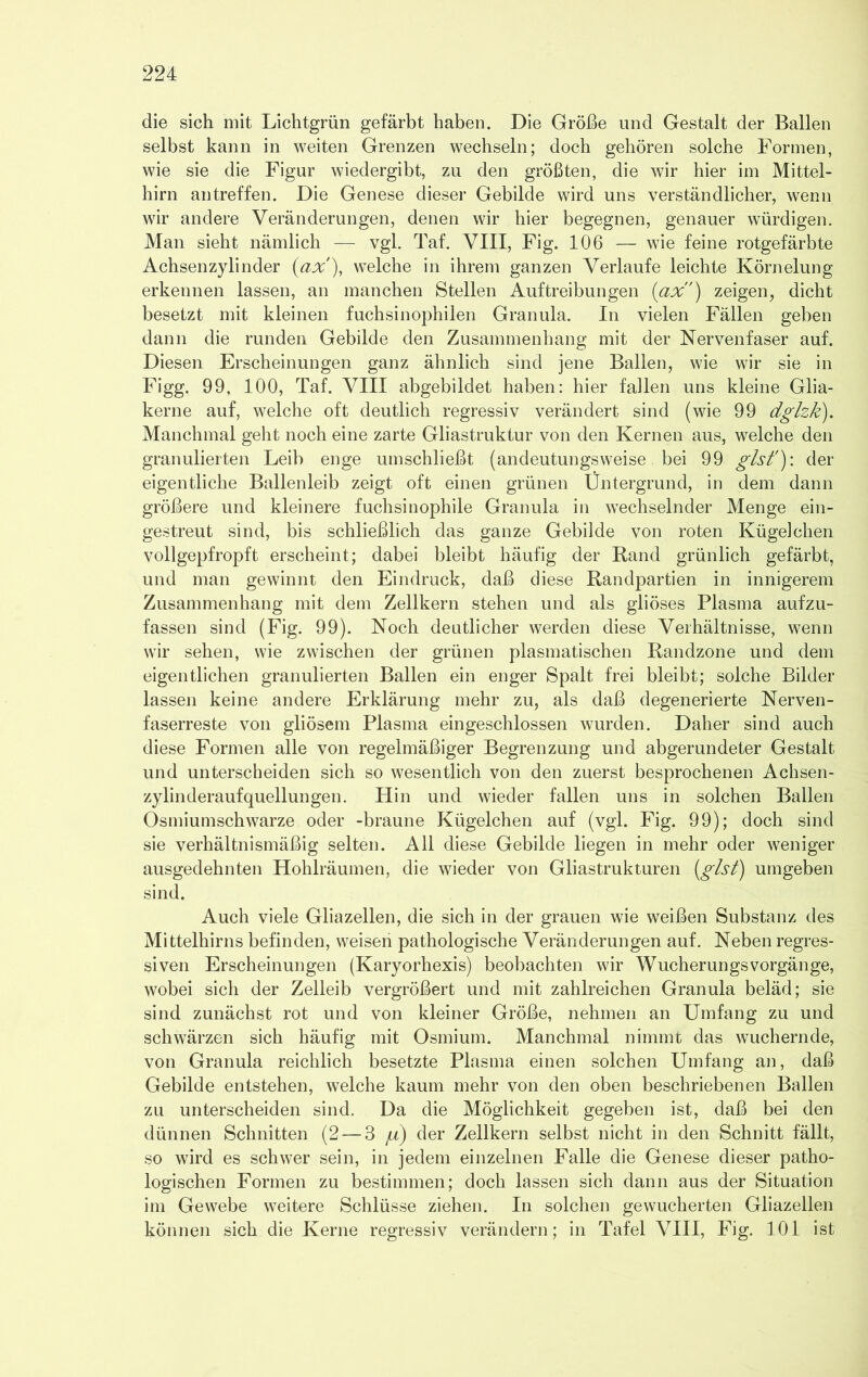 die sich mit Lichtgrün gefärbt haben. Die Größe und Gestalt der Ballen selbst kann in weiten Grenzen wechseln; doch gehören solche Formen, wie sie die Figur wiedergibt, zu den größten, die wir hier im Mittel- hirn antreffen. Die Genese dieser Gebilde wird uns verständlicher, wenn wir andere Veränderungen, denen wir hier begegnen, genauer würdigen. Man sieht nämlich — vgl. Taf. VIII, Fig. 106 — wie feine rotgefärbte Achsenzylinder (ax), welche in ihrem ganzen Verlaufe leichte Körnelung erkennen lassen, an manchen Stellen Auftreibungen {ax) zeigen, dicht besetzt mit kleinen fuchsinophilen Granula. In vielen Fällen geben dann die runden Gebilde den Zusammenhang mit der Nervenfaser auf. Diesen Erscheinungen ganz ähnlich sind jene Ballen, wie wir sie in Figg. 99, 100, Taf. VIII abgebildet haben: hier fallen uns kleine Glia- kerne auf, welche oft deutlich regressiv verändert sind (wie 99 dglzk). Manchmal geht noch eine zarte Gliastruktur von den Kernen aus, welche den granulierten Leib enge umschließt (andeutungsweise bei 99 gist'): der eigentliche Ballenleib zeigt oft einen grünen Üntergrund, in dem dann größere und kleinere fuchsinophile Granula in wechselnder Menge ein- gestreut sind, bis schließlich das ganze Gebilde von roten Kügelchen vollgepfropft erscheint; dabei bleibt häufig der Rand grünlich gefärbt, und man gewinnt den Eindruck, daß diese Randpartien in innigerem Zusammenhang mit dem Zellkern stehen und als gliöses Plasma aufzu- fassen sind (Fig. 99). Noch deutlicher werden diese Verhältnisse, wenn wir sehen, wie zwischen der grünen plasmatischen Randzone und dem eigentlichen granulierten Ballen ein enger Spalt frei bleibt; solche Bilder lassen keine andere Erklärung mehr zu, als daß degenerierte Nerven- faserreste von gliösem Plasma eingeschlossen wurden. Daher sind auch diese Formen alle von regelmäßiger Begrenzung und abgerundeter Gestalt und unterscheiden sich so wesentlich von den zuerst besprochenen Achsen- zylinderaufquellungen. Hin und wieder fallen uns in solchen Ballen Osmiumschwarze oder -braune Kügelchen auf (vgl. Fig. 99); doch sind sie verhältnismäßig selten. All diese Gebilde liegen in mehr oder weniger ausgedehnten Hohlräumen, die wieder von Gliastrukturen (gist) umgeben sind. Auch viele Gliazellen, die sich in der grauen wie weißen Substanz des Mittelhirns befinden, weisen pathologische Veränderungen auf. Neben regres- siven Erscheinungen (Karyorhexis) beobachten wir WucherungsVorgänge, wobei sich der Zelleib vergrößert und mit zahlreichen Granula beläd; sie sind zunächst rot und von kleiner Größe, nehmen an Umfang zu und schwärzen sich häufig mit Osmium. Manchmal nimmt das wuchernde, von Granula reichlich besetzte Plasma einen solchen Umfang an, daß Gebilde entstehen, welche kaum mehr von den oben beschriebenen Ballen zu unterscheiden sind. Da die Möglichkeit gegeben ist, daß bei den dünnen Schnitten (2 — 3 ju) der Zellkern selbst nicht in den Schnitt fällt, so wird es schwer sein, in jedem einzelnen Falle die Genese dieser patho- logischen Formen zu bestimmen; doch lassen sich dann aus der Situation im Gewebe weitere Schlüsse ziehen. In solchen gewucherten Gliazellen können sich die Kerne regressiv verändern; in Tafel VIII, Fig. 101 ist