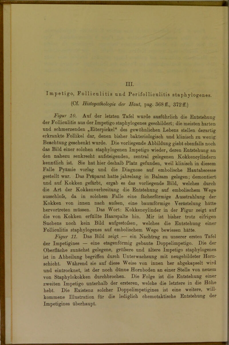 Impetigo, Folliculitis und Perifolliculitis stapkylogenes. (Cf. Histopathologie der Haut, pag. 368 ff., 372 ff.) Figur 10. Auf der letzten Tafel wurde ausführlich die Entstehung der Folliculitis aus der Impetigo staphylogenes geschildert; die meisten harten und schmerzenden nEiterpickelu des gewöhnlichen Lebens stellen derartig erkrankte Follikel dar, denen bisher bakteriologisch und klinisch zu weuig Beachtung geschenkt wurde. Die vorliegende Abbildung giebt ebenfalls noch das Bild einer solchen staphylogenen Impetigo wieder, deren Entstehung an den nahezu senkrecht aufsteigenden, zentral gelegenen Kokkencylindern kenntlich ist. Sie hat hier deshalb Platz gefunden, weil klinisch in diesem Falle Pyämie vorlag und die Diagnose auf embolische Hautabscesse gestellt war. Das Präparat hatte jahrelang in Balsam gelegen; demontiert und auf Kokken gefärbt, ergab es das vorliegende Bild, welches durch die Art der Kokkenverbreitung die Entstehung auf embolischem Wege ausschlofs, da in solchem Falle eine fächerförmige Ausstrahlung der Kokken von innen nach aufsen, eine baumförmige Verästelung hätte hervortreten müssen. Das Wort: Kokkencylinder in der Figur zeigt auf die von Kokken erfüllte Haarspalte hin. Mir ist bisher trotz eifrigen Suchens noch kein Bild aufgestoisen, welches die Entstehung einer Folliculitis staphylogenes auf embolischem Wege bewiesen hätte. Figur 11. Das Bild zeigt — ein Nachtrag zu unserer ersten Tafel der Impetigines — eine etagenförmig gebaute Doppelimpetigo. Die der Oberfläche zunächst gelegene, gröfsere und ältere Impetigo staphylogenes ist in Abheilung begriffen durch Unterwachsung mit neugebildeter Horn- schicht. Während sie auf diese Weise von innen her abgekapselt wird und eintrocknet, ist der noch dünne Hornboden an einer Stelle von neuem von Staphylokokken durchbrochen. Die Folge ist die Entstehung einer zweiten Impetigo unterhalb der ersteren, welche die letztere in die Höhe hebt. Die Existenz solcher Doppelimpetigines ist eine weitere, will- kommene Illustration für die lediglich chemotaktische Entstehung der Impetigines überhaupt.