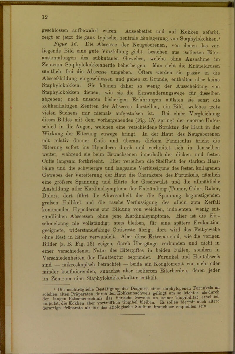 geschlossen aufbewahrt waren. Ausgebettet und auf Kokken gefärbt, zeigt er jetzt die ganz typische, zentrale Einlagerung von Staphylokokken.1 Figur 16. Die Abscesse der Neugeborenen, von denen das vor- liegende Bild eine gute Vorstellung giebt, bestehen aus isolierten Eiter- ansammlungen des subkutanen Gewebes, welche ohne Ausnahme im Zentrum Staphylokokkenherde beherbergen. Man sieht die Knäueldrüsen sämtlich frei die Abscesse umgeben. Öfters werden sie passiv in die Abscefsbildung eingeschlossen uud gehen zu Grunde, enthalten aber keine Staphylokokken. Sie können daher so wenig der Ausscheidung von Staphylokokken dienen, wie sie die Einwanderungswege für dieselben abgeben; nach unseren bisherigen Erfahrungen müfsten sie sonst die kokkenhaltigen Zentren der Abscesse darstellen, ein Bild, welches trotz vielen Suchens mir niemals aufgestofsen ist. Bei einer Vergleichung dieses Bildes mit dem vorhergehenden (Eig. 15) springt der enorme Unter- schied in die Augen, welchen eine verschiedene Struktur der Haut in der Wirkung der Eiterung zuwege bringt. In der Haut des Neugeborenen mit relativ dünner Cutis und überaus dickem Panniculus bricht die Eiterung sofort ins Hypoderm durch und verbreitet sich in demselben weiter, während sie beim Erwachsenen innerhalb der dicken und festen Cutis langsam fortkriecht. Hier verleihen die Steifheit der starken Haar- bälge und die schwierige und langsame Verflüssigung des festen kollagenen Gewebes der Vereiterung der Haut die Charaktere des Furunkels, nämlich eine gröfsere Spannung und Härte der Geschwulst und die allmähliche Ausbildung aller Kardinalsymptome der Entzündung (Tumor, Calor, Rubor, Dolor); dort führt die Abwesenheit der die Spannung begünstigenden grofsen Follikel und die rasche Verflüssigung des allein zum Zerfall kommenden Hypoderms zur Bildung von weichen, indolenten, wenig ent- zündlichen Abscessen ohne jene Kardinalsymptome. Hier ist die Ein- schmelzung nie vollständig; stets bleiben, für eine spätere Evakuation geeignete, widerstandsfähige Cutisreste übrig; dort wird das Fettgewebe ohne Rest in Eiter verwandelt. Aber diese Extreme sind, wie die vorigen Bilder (z. B. Fig. 13) zeigen, durch Übergänge verbunden uud nicht in einer verschiedenen Natur des Eitergiftes in beiden Fällen, sondern in Verschiedenheiten der Hauttextur begründet. Furunkel und Hautabseels sind — mikroskopisch betrachtet — beide ein Konglomerat von mehr oder minder konfluierenden, zunächst aber isolierten Eiterherden, deren jeder im Zentrum eine Staphylokokkenkultur enthält. 1 Die nachträgliche Bestätigung der Diagnose eines staphylogenen Furunkels an solchen alten Präparaten durch den Kokkennachweis gelingt um so leichter, alsdufc“ den langen Balsameinschlufs das tierische Gewebe an seiner Tingibilität erheblich einpüfst, die Kokken aber vortrefflich tingibel bleiben. Es sollen hiermit auch altere derartige Präparate als für das ätiologische Studium brauchbar empfohlen sein.