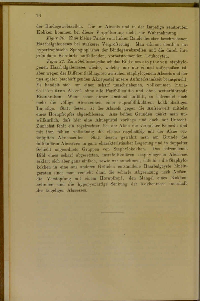 der Bindegewebszellen. Die im Abscefs und in der Impetigo zerstreuten Kokken kommen bei dieser Vergrößerung nicht zur Wahrnehmung. Figur 20. Eine kleine Partie vom linken Rande des eben beschriebenen Haarbalgabscesses bei stärkerer Vergröfserung. Man erkennt deutlich das hypertrophische Spongioplasma der Bindegewebszellen und die durch ihre grünblaue Kernfarbe auffallenden, vorbeiströmenden Leukocyten. Figur 21. Zum Schlüsse gebe ich das Bild eines atypischen, staphylo- genen Haarbalgabscesses wieder, welches mir nur einmal aufgestofsen ist, aber wegen der Differentialdiagnose zwischen staphylogenem Abscefs und der uns später beschäftigenden Aknepustel unsere Aufmerksamkeit beansprucht. Es handelt sich um einen scharf umschriebenen, vollkommen intra- follikulären Abscefs ohne alle Perifolliculitis und ohne weiterführende Eiterstrafsen. Wenn schon dieser Umstand auffällt, so befremdet noch mehr die völlige Abwesenheit einer suprafollikulären, kokkenhaltigen Impetigo. Statt dessen ist der Abscefs gegen die Aufsenwelt mittelst eines Hornpfropfes abgeschlossen. Aus beiden Gründen denkt man un- willkürlich, dafs hier eine Aknepustel vorliege und doch mit Unrecht. Zunächst fehlt ein regelrechter, hei der Akne nie vermißter Komedo und mit ihm fehlen vollständig die ebenso regelmäfsig mit der Akne ver- knüpften Aknebacillen. Statt dessen gewahrt man am Grunde des follikulären Abscesses in ganz charakteristischer Lagerung und in doppelter Schicht angeordnete Gruppen von Staphylokokken. Das befremdende Bild eines scharf abgesetzten, intrafollikulären, stapbylogenen Abscesses erklärt sich aber ganz einfach, sowie wir aunehmen, dafs hier die Staphylo- kokken in eine aus anderen Gründen entstandene Haarbalgcyste hinein- geraten sind; man versteht dann die scharfe Abgrenzung nach Außen, die Verstopfung mit einem Hornpfropf, den Mangel eines Kokkeu- cylinders und die hypopyonartige Senkung der Kokkenrasen innerhalb des kugeligen Abscesses.