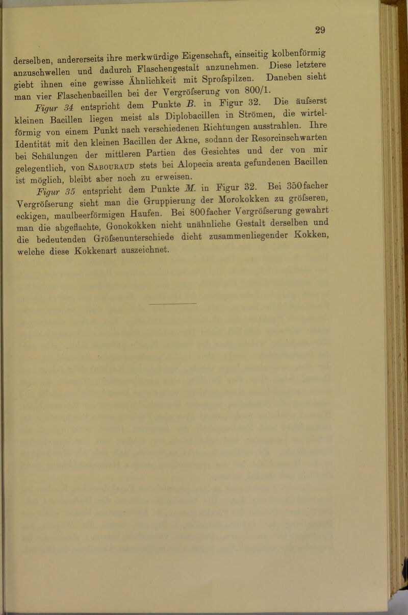 derselben, andererseits ihre merkwürdige E.genschaft, einseitig kolbenförmig anzuschwellen und dadurch Flaschengestalt anzunehmen. Diese letzte« giebt ihnen eine gewisse Ähnlichkeit mit Sprofsp.lzem Daneben sieht man vier Flaschenbacillen bei der Vergrößerung von 800/1. Figur 34 entspricht dem Punkte B. in Figur 32. Die äußerst kleinen Bacillen liegen meist als Diplobacillen in Strömen die wirtel- förmio von einem Punkt nach verschiedenen Richtungen ausstrahlen. Ihre Identität mit den kleinen Bacillen der Akne, sodann der Rcsorcinschwarten bei Schälungen der mittleren Partien des Gesichtes und der von mir gelegentlich, von Sabourai'Ij stets bei Alopecia areata gefundenen Baci en ist möglich, bleibt aber noch zu erweisen. , . Figur 35 entspricht dem Punkte M. in Figur 32. Bei SoOfacher Vergröfserung siebt man die Gruppierung der Morokokken zu grofseren, eckigen, maulbeerförmigen Haufen. Bei SOOfacher Vergröfserung gewahrt man die abgeflachte, Gonokokken nicht unähnliche Gestalt derselben und die bedeutenden Gröisenunterschiede dicht zusammenliegender Kokken, welche diese Kokkenart auszeichnet.