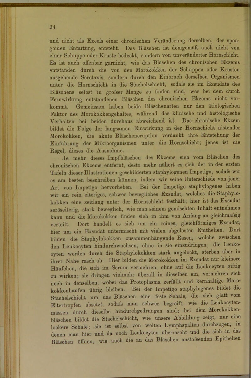 und nicht als Exeefs einer chronischen Veränderung derselben, der spon- goiden Entartung, entsteht. Das Bläschen ist demgemäfs auch nicht von einer Schuppe oder Kruste bedeckt, sondern von unveränderter Hornschicht. Es ist auch offenbar garnicht, wie das Bläschen des chronischen Ekzems entstanden durch die von den Morokokken der Schuppen oder Krusten ausgehende Serotaxis, sondern durch den Einbruch derselben Organismen unter die Hornschicht in die Stachelschicht, sodals sie im Exsudate des Bläschens seihst in grofser Menge zu finden sind, was bei dem durch Fernwirkung entstandenen Bläschen des chronischen Ekzems nicht vor- kommt. Gemeinsam haben beide Bläschenarten nur den ätiologischen Faktor des Morokokkengehaltes, w'ährend das klinische und histologische Verhalten bei beiden durchaus abweichend ist. Das chronische Ekzem bildet die Folge der langsamen Einwirkung in der Hornschicht nistender Morokokken, die akute Bläscheneruption verdankt ihre Entstehung der Einführung der Mikroorganismen unter die Hornschicht; jenes ist die Regel, dieses die Ausnahme. Je mehr dieses Impfbläschen des Ekzems sich vom Bläschen des chronischen Ekzems entfernt, desto mehr nähert es sich der in den ersten Tafeln dieser Illustrationen geschilderten staphylogenen Impetigo, sodafs wir es am besten beschreiben können, indem wir seine Unterschiede von jener Art von Impetigo hervorheben. Bei der Impetigo staphylogenes haben wir ein rein eiteriges, schwer bewegliches Exsudat, welches die Staphylo- kokken eine zeitlang unter der Hornschicht festhält; hier ist das Exsudat seröseiterig, stark beweglich, wie man seinem gemischten Inhalt entnehmen kann und die Morokokken finden sich in ihm von Anfang an gleichmäfsig verteilt. Dort handelt es sich um ein reines, gleichförmiges Exsudat, hier um ein Exsudat untermischt mit vielen abgelösten Epithelien. Dort bilden die Staphylokokken zusammenhängende Rasen, -welche zwischen den Leukocyten hindurchwachsen, ohne in sie einzudringen; die Leuko- cyten werden durch die Staphylokokken stark angelockt, sterben aber in ihrer Nähe rasch ab. Hier bilden die Morokokkeu im Exsudat nur kleinere Häufchen, die sich im Serum vermehren, ohne auf die Leukocyten giftig zu würken; sie dringen vielmehr überall in dieselben ein, vermehren sich noch in denselben, wobei das Protoplasma zerfällt und kernhaltige Moro- kokkenhaufen übrig bleiben. Bei der Impetigo staphylogenes bildet die Stachelschicht um das Bläschen eine feste Schale, die sich glatt vom Eitertropfen absetzt, sodafs man schwer begreift, wie die Leukocyten- massen durch dieselbe hindurchgedrungen sind; bei dem Morokokken- bläscheu bildet die Stachelschicht, wie unsere Abbildung zeigt, nur eine lockere Schale; sie ist selbst von weiten Lymphspalten durchzogen, m denen man hier und da noch Leukocyten überrascht und die sich m das Bläschen öffnen, wie auch die an das Bläschen anstoisenden Epithelien