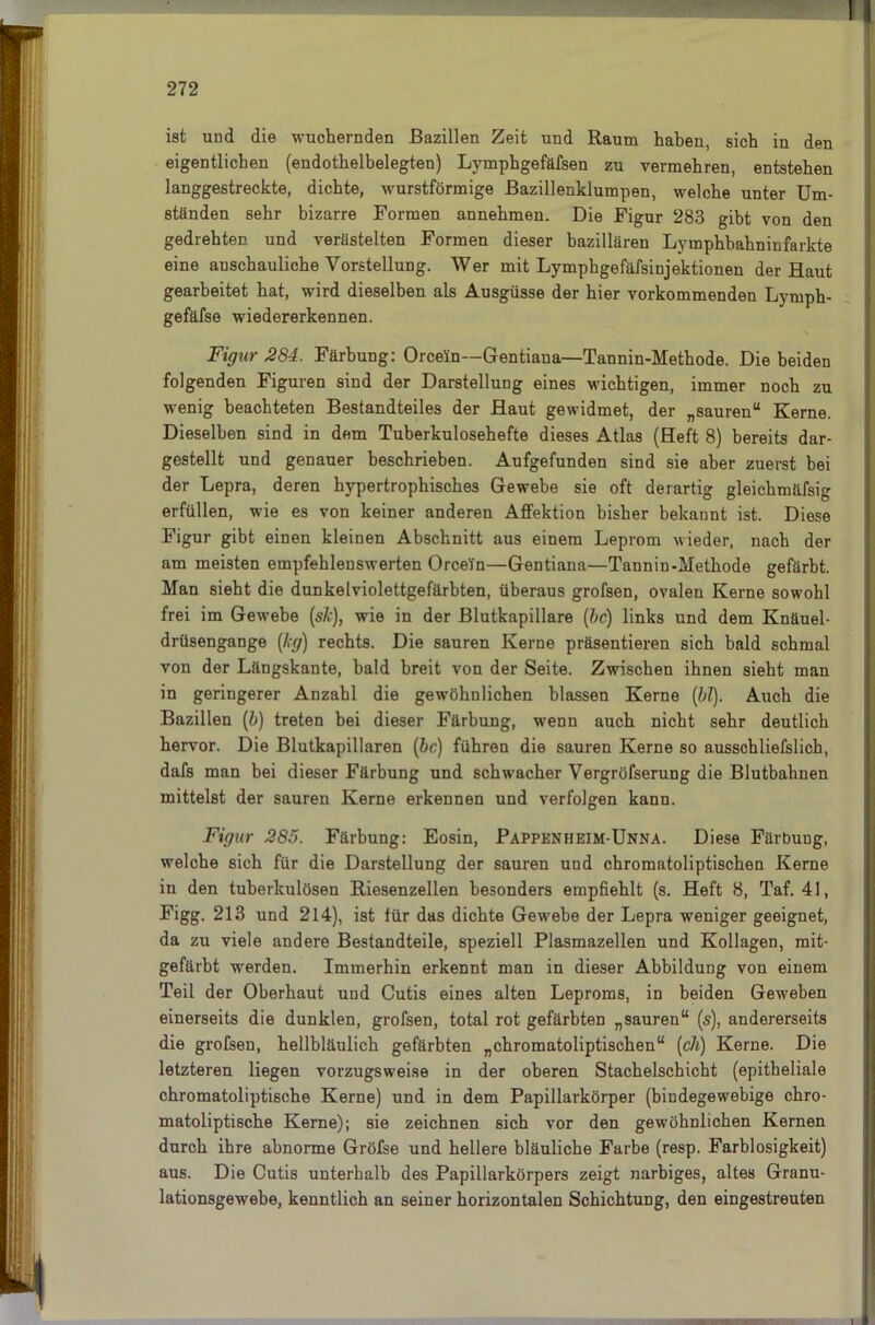 I j 272 ist und die wuchernden Bazillen Zeit und Raum haben, sich in den eigentlichen (endothelbelegten) Lymphgefäfsen zu vermehren, entstehen langgestreckte, dichte, wurstförmige Bazillenklumpen, welche unter Um- ständen sehr bizarre Formen annehmen. Die Figur 283 gibt von den gedrehten und verästelten Formen dieser bazillären Lymphbahninfarkte eine anschauliche Vorstellung. Wer mit Lymphgefäfsinjektionen der Haut gearbeitet hat, wird dieselben als Ausgüsse der hier vorkommenden Lyrnph- gefäfse wiedererkennen. Figur 284. Färbung: Orceln—Gentiana—Tannin-Methode. Die beiden folgenden Figuren sind der Darstellung eines wichtigen, immer noch zu wenig beachteten Bestandteiles der Haut gewidmet, der „sauren“ Kerne. Dieselben sind in dem Tuherkulosehefte dieses Atlas (Heft 8) bereits dar- gestellt und genauer beschrieben. Aufgefunden sind sie aber zuerst bei der Lepra, deren hypertrophisches Gewebe sie oft derartig gleichmäfsig erfüllen, wie es von keiner anderen Affektion bisher bekannt ist. Diese Figur gibt einen kleinen Abschnitt aus einem Leprom wieder, nach der am meisten empfehlenswerten OrceYn—Gentiana—Tannin -Methode gefärbt. Man sieht die dunkelviolettgefärbten, überaus grofsen, ovalen Kerne sowohl frei im Gewebe (sk), wie in der Blutkapillare (bc) links und dem Knäuel- drüsengange (kg) rechts. Die sauren Kerne präsentieren sich bald schmal von der Längskante, bald breit von der Seite. Zwischen ihnen sieht man in geringerer Anzahl die gewöhnlichen blassen Kerne (bl). Auch die Bazillen (b) treten hei dieser Färbung, wenn auch nicht sehr deutlich hervor. Die Blutkapillaren (bc) führen die sauren Kerne so ausschliefslich, dafs man bei dieser Färbung und schwacher Vergrüfserung die Blutbahnen mittelst der sauren Kerne erkennen und verfolgen kann. Figur 285. Färbung: Eosin, Pappenheim-Unna. Diese Färbung, welche sich für die Darstellung der sauren und chromatoliptischen Kerne in den tuberkulösen Riesenzellen besonders empfiehlt (s. Heft 8, Taf. 41, Figg. 213 und 214), ist für das dichte Gewebe der Lepra weniger geeignet, da zu viele andere Bestandteile, speziell Plasmazellen und Kollagen, mit- gefärbt werden. Immerhin erkennt man in dieser Abbildung von einem Teil der Oberhaut und Cutis eines alten Leproms, in beiden Geweben einerseits die dunklen, grofsen, total rot gefärbten „sauren“ (s), andererseits die grofsen, hellbläulich gefärbten „chromatoliptischen“ (ch) Kerne. Die letzteren liegen vorzugsweise in der oberen Stachelschicht (epitheliale chromatoliptische Kerne) und in dem Papillarkörper (bindegewebige chro- matoliptische Kerne); sie zeichnen sich vor den gewöhnlichen Kernen durch ihre abnorme Gröfse und hellere bläuliche Farbe (resp. Farblosigkeit) aus. Die Cutis unterhalb des Papillarkörpers zeigt narbiges, altes Granu- lationsgewebe, kenntlich an seiner horizontalen Schichtung, den eingestreuten