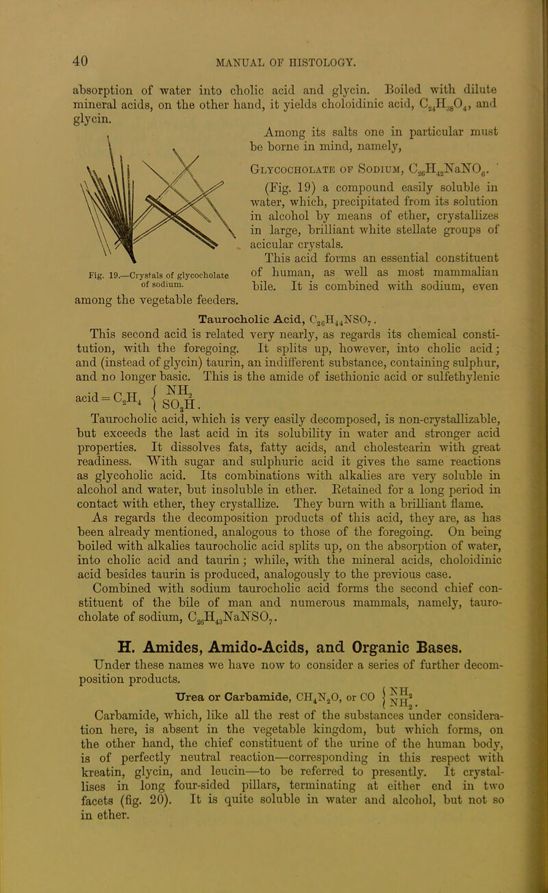 absorption of water into cholic acid and glycin. Boiled with dilute mineral acids, on the other hand, it yields choloidinic acid, C^IL.yO,, and Among its salts one in particular must be borne in mind, namely, Glycocholate of Sodium, C^H^NaFTO,,. (Fig. 19) a compound easily soluble in water, which, precipitated from its solution in alcohol by means of ether, crystallizes in large, brilliant white stellate groups of acicular crystals. This acid forms an essential constituent of human, as well as most mammalian bile. It is combined with sodium, even Taurocholic Acid, C26H44NS07. This second acid is related very nearly, as regards its chemical consti- tution, with the foregoing. It splits up, however, into cholic acid; and (instead of glycin) taurin, an indifferent substance, containing sulphur, and no longer basic. This is the amide of isethionic acid or sulfethylenic acid = C„H4 | Taurocholic acid, which is very easily decomposed, is non-crystallizable, but exceeds the last acid in its solubility in water and stronger acid properties. It dissolves fats, fatty acids, and cholestearin with great readiness. With sugar and sulphuric acid it gives the same reactions as glycoholic acid. Its combinations with alkalies are very soluble in alcohol and water, but insoluble in ether. Retained for a long period in contact with ether, they crystallize. They burn with a brilliant flame. As regards the decomposition products of this acid, they are, as has been already mentioned, analogous to those of the foregoing. On being boiled with alkalies taurocholic acid splits up, on the absorption of water, into cholic acid and taurin; while, with the mineral acids, choloidinic acid besides taurin is produced, analogously to the previous case. Combined with sodium taurocholic acid forms the second chief con- stituent of the bile of man and numerous mammals, namely, tauio- cholate of sodium, C26H43lS[aIIS07. H. Amides, Amido-Acids, and Organic Bases. Under these names we have now to consider a series of further decom- position products. Urea or Carbamide, CH4N20, or CO j ^jj2 Carbamide, which, like all the rest of the substances under considera- tion here, is absent in the vegetable kingdom, but which forms, on the other hand, the chief constituent of the urine of the human body, is of perfectly neutral reaction—corresponding in this respect with kreatin, glycin, and leucin—to be referred to presently. It crystal- lises in long four-sided pillars, terminating at either end in two facets (fig. 20). It is quite soluble in water and alcohol, but not so in ether. Fig. 19.—Crystals of glycocholate of sodium. among the vegetable feeders.