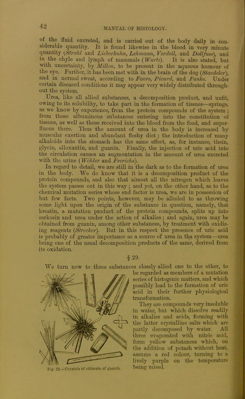 MANUAL OF HISTOLOGY. ot the fluid excreted, and is carried out of the body daily in con- siderable quantity. It is found likewise in the blood in very minute quantity (Strahl and Lieberlculm, Lehmann, Verdeil, and Dollfuss), and in the chyle and lymph of mammals (Wurtz). It is also stated, but with uncertainty, by Millon, to be present in the aqueous humour of the eye. Further, it has been met with in the brain of the dog (Staedeler), and in normal sweat, according to Favre, Picard, and Funke. Under certain diseased conditions it may appear very widely distributed through- out the system. Urea, like all allied substances, a decomposition product, and unfit, owing to its solubility, to take part in the formation of tissues—springs, as we know by experience, from the protein compounds of the system ; from those albuminous substances entering into the constitution of tissues, as well as those received into the blood from the food, and super- fluous there. Thus the amount of urea in the body is increased by muscular exertion and abundant fleshy diet; the introduction of many alkaloids into the stomach has the same effect, as, for instance, them, glycin, alloxantin, and guanin. Finally, the injection of uric acid into the circulation causes an augmentation in the amount of urea excreted with the urine (Wohler and Frerichs). In regard to detail, we are still in the dark as to the formation of urea in the body. We do know that it is a decomposition product of the protein compounds, and also that almost all the nitrogen which leaves the system passes out in this way • and yet, on the other hand, as to the chemical mutation series whose end factor is urea, we are in possession of but few facts. Two points, however, may be alluded to as throwing some light upon the origin of the substance in question, namely, that kreatin, a mutation product of the protein compounds, splits up into sarlcosin and urea under the action of alkalies; and again, urea may be obtained from guanin, among other substances, by treatment with oxidiz- ing reagents (Strecker). But in this respect the presence of uric acid is probably of greater importance as a source of urea in the system—urea being one of the usual decomposition products of the same, derived from its oxidation. §29. We turn now to three substances closely allied one to the other, to be regarded as members of a mutation series of histogenic matters, and which possibly lead to the formation of uric acid in their further physiological transformation. They are compounds very insoluble in water, but which dissolve readily in alkalies and acids, forming with the latter crystalline salts which are partly decomposed by water. All three evaporated with nitric acid, form yellow substances which, on the addition of potash without heat, assume a red colour, turning to a lively purple on the temperature being raised. Fig. 22.—Crystals of chlorate of guanin.