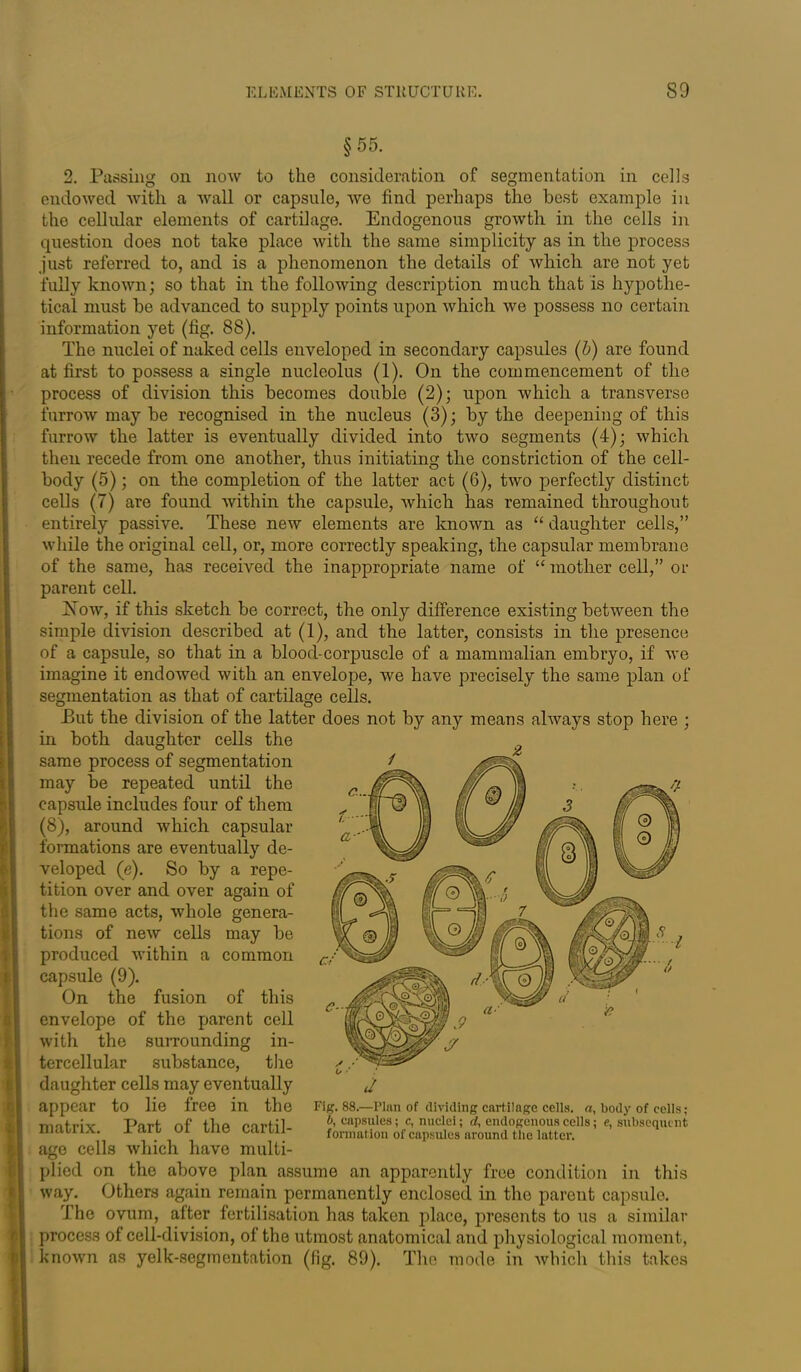 §55. 2. Passing on now to the consideration of segmentation in cells endowed with a wall or capsule, we find perhaps the best example in the cellular elements of cartilage. Endogenous growth in the cells in question does not take place with the same simplicity as in the process just referred to, and is a phenomenon the details of which are not yet fully known; so that in the following description much that is hypothe- tical must be advanced to supply points upon which we possess no certain information yet (fig. 88). The nuclei of naked cells enveloped in secondary capsules (b) are found at first to possess a single nucleolus (1). On the commencement of the process of division this becomes double (2); upon which a transverse furrow may be recognised in the nucleus (3); by the deepening of this furrow the latter is eventually divided into two segments (4); which then recede from one another, thus initiating the constriction of the cell- body (5); on the completion of the latter act (6), two perfectly distinct cells (7) are found within the capsule, which has remained throughout entirely passive. These new elements are known as “ daughter cells,” while the original cell, or, more correctly speaking, the capsular membrane of the same, has received the inappropriate name of “ mother cell,” or parent cell. Eow, if this sketch be correct, the only difference existing between the simple division described at (1), and the latter, consists in the presence of a capsule, so that in a blood-corpuscle of a mammalian embryo, if we imagine it endowed with an envelope, we have precisely the same plan of segmentation as that of cartilage cells. o o But the division of the latter does not by any means always stop here ; in both daughter cells the same process of segmentation / may be repeated until the capsule includes four of them (8), around which capsular formations are eventually de- veloped (e). So by a repe- tition over and over again of the same acts, whole genera- tions of new cells may be produced within a common capsule (9). On the fusion of this envelope of the parent cell with the surrounding in- tercellular substance, tire daughter cells may eventually appear to lie free in the matrix. Part of the cartil- age cells which have multi- plied on the above plan assume an apparently free condition in this way. Others again remain permanently enclosed in the parent capsule. The ovum, after fertilisation has taken place, presents to us a similar process of cell-division, of the utmost anatomical and physiological moment, known as yelk-segmentation (fig. 89). The mode in which this takes Fig. 88.—Plan of dividing cartilage cells, a, body of cells; b, capsules; c, nuclei; d, endogenous cells; e, subsequent formation of capsules around the latter.