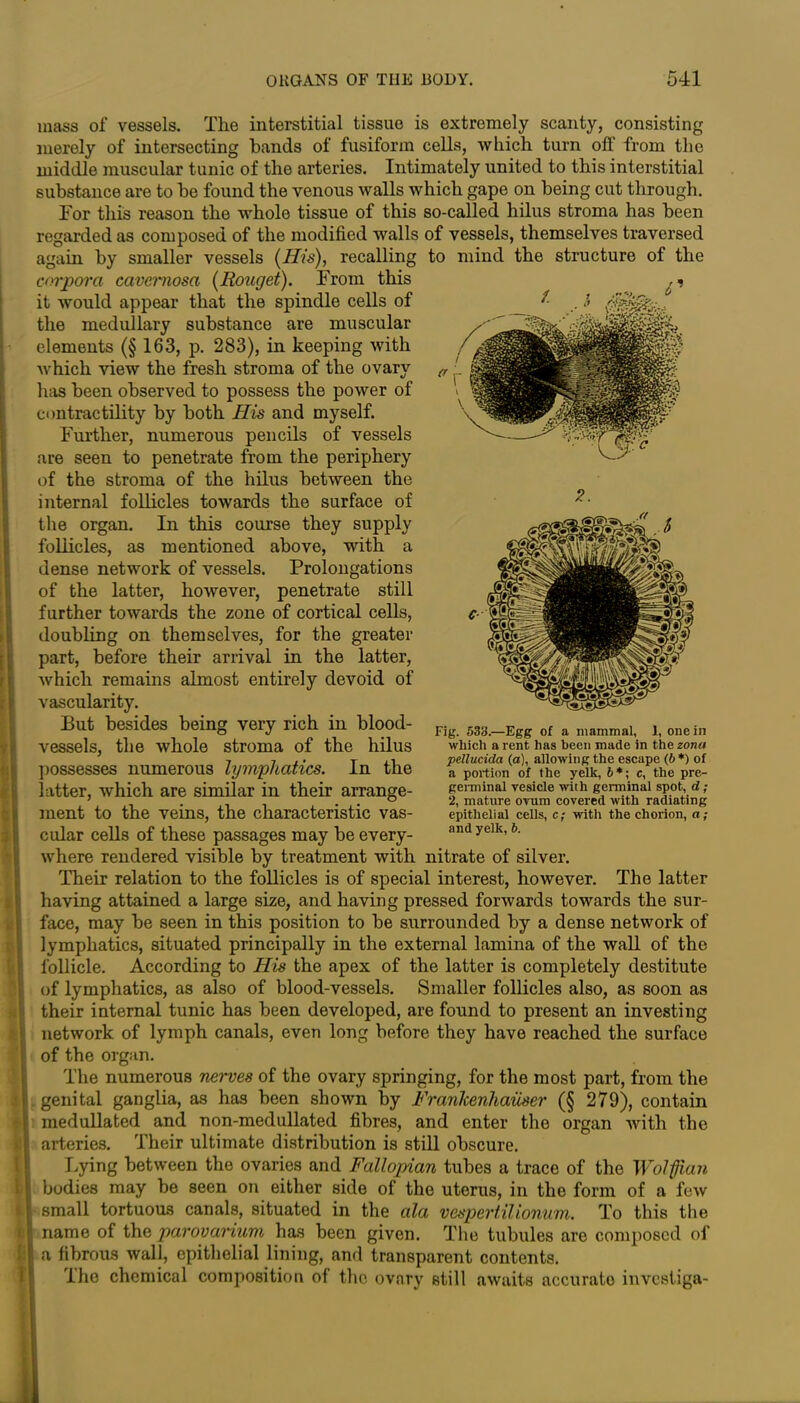 mass of vessels. Tlie interstitial tissue is extremely scanty, consisting merely of intersecting bands of fusiform cells, which turn off from the middle muscular tunic of the arteries. Intimately united to this interstitial substance are to be found the venous walls which gape on being cut through. For this reason the whole tissue of this so-called hilus stroma has been regarded as composed of the modified walls of vessels, themselves traversed again by smaller vessels (His), recalling to mind the structure of the corpora cavernosa (Rouget). From this it would appear that the spindle cells of the medullary substance are muscular elements (§ 163, p. 283), in keeping with which view the fresh stroma of the ovary has been observed to possess the power of contractility by both His and myself. Further, numerous pencils of vessels are seen to penetrate from the periphery of the stroma of the hilus between the internal follicles towards the surface of the organ. In this course they supply follicles, as mentioned above, with a (dense network of vessels. Prolongations of the latter, however, penetrate still further towards the zone of cortical cells, doubling on themselves, for the greater part, before their arrival in the latter, which remains almost entirely devoid of vascularity. Put besides being very rich in blood- vessels, the whole stroma of the hilus possesses numerous lymphatics. In the latter, which are similar in their arrange- ment to the veins, the characteristic vas- cular cells of these passages may be every- where rendered visible by treatment with nitrate of silver. Their relation to the follicles is of special interest, however. The latter having attained a large size, and having pressed forwards towards the sur- face, may be seen in this position to be surrounded by a dense network of lymphatics, situated principally in the external lamina of the wall of the follicle. According to His the apex of the latter is completely destitute of lymphatics, as also of blood-vessels. Smaller follicles also, as soon as their internal tunic has been developed, are found to present an investing network of lymph canals, even long before they have reached the surface of the organ. The numerous nerves of the ovary springing, for the most part, from the ' genital ganglia, as has been shown by Frankenliaiiser (§ 279), contain medullated and non-medullated fibres, and enter the organ with the l arteries. Their ultimate distribution is still obscure. Lying between the ovaries and Fallopian tubes a trace of the Wolffian bodies may be seen on either side of the uterus, in the form of a few small tortuous canals, situated in the ala vespertilionnm. To this the name of the parovarium has been given. The tubules are composed of a fibrous wall, epithelial lining, and transparent contents. The chemical composition of the ovary still awaits accurato investiga- I Fig. 533.—Egg of a mammal, 1, one in which a rent has been made in the zona pellucida (a), allowing the escape (6*) of a portion of the yelk, 6*; c, the pre- germinal vesicle with germinal spot, d; 2, mature ovum covered with radiating epithelial cells, c; with the chorion, n; and yelk, 6.