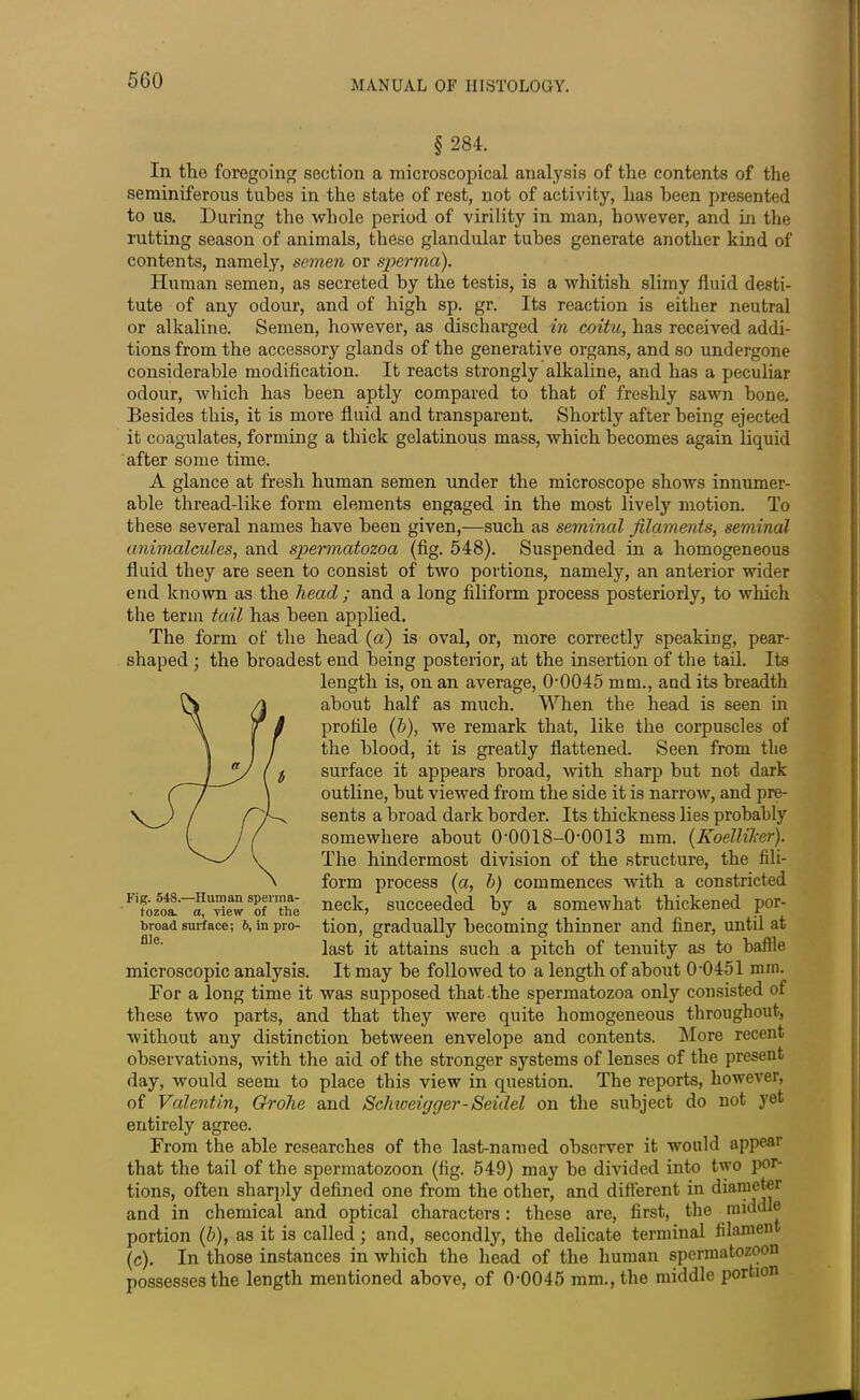 § 284. In the foregoing section a microscopical analysis of the contents of the seminiferous tubes in the state of rest, not of activity, has been presented to us. During the whole period of virility in man, however, and in the rutting season of animals, these glandular tubes generate another kind of contents, namely, semen or sperma). Human semen, as secreted by the testis, is a whitish slimy fluid desti- tute of any odour, and of high sp. gr. Its reaction is either neutral or alkaline. Semen, however, as discharged in coitu, has received addi- tions from the accessory glands of the generative organs, and so undergone considerable modification. It reacts strongly alkaline, and has a peculiar odour, which has been aptly compared to that of freshly sawn bone. Besides this, it is more fluid and transparent. Shortly after being ejected it coagulates, forming a thick gelatinous mass, which becomes again liquid after some time. A glance at fresh human semen under the microscope shows innumer- able thread-like form elements engaged in the most lively motion. To these several names have been given,—such as seminal filaments, seminal animalcules, and spermatozoa (fig. 548). Suspended in a homogeneous fluid they are seen to consist of two portions, namely, an anterior wider end known as the head ; and a long filiform process posteriorly, to which the term tail has been applied. The form of the head (a) is oval, or, more correctly speaking, pear- shaped ; the broadest end being posterior, at the insertion of the tail. Its length is, on an average, 00045 mm., aud its breadth about half as much. When the head is seen in profile (b), we remark that, like the corpuscles of the blood, it is greatly flattened. Seen from the surface it appears broad, with sharp but not dark outline, but viewed from the side it is narrow, and pre- sents a broad dark border. Its thickness lies probably somewhere about O'OOl 8-0-0013 mm. (KoelliJcer). The hindermost division of the structure, the fili- form process (a, b) commences with a constricted neck, succeeded by a somewhat thickened por- tion, gradually becoming thinner and finer, until at last it attains such a pitch of tenuity as to baffle microscopic analysis. It may be followed to a length of about 0-0451 mm. Bor a long time it was supposed that-the spermatozoa only consisted of these two parts, and that they were quite homogeneous throughout, without any distinction between envelope and contents. More recent observations, with the aid of the stronger systems of lenses of the present day, would seem to place this view in question. The reports, however, of Valentin, Grolie and Schweigger-Seidel on the subject do not yet entirely agree. From the able researches of the last-named observer it would appear that the tail of the spermatozoon (fig. 549) may be divided into two por- tions, often sharply defined one from the other, and different in diameter and in chemical and optical characters: these are, first, the middle portion (b), as it is called; and, secondly, the delicate terminal filamen (c). In those instances in which the head of the human spermatozoon possesses the length mentioned above, of 0-0045 mm., the middle portion Fig. 548.—Human sperma- tozoa. a, view of the broad surface; 6, in pro- file.