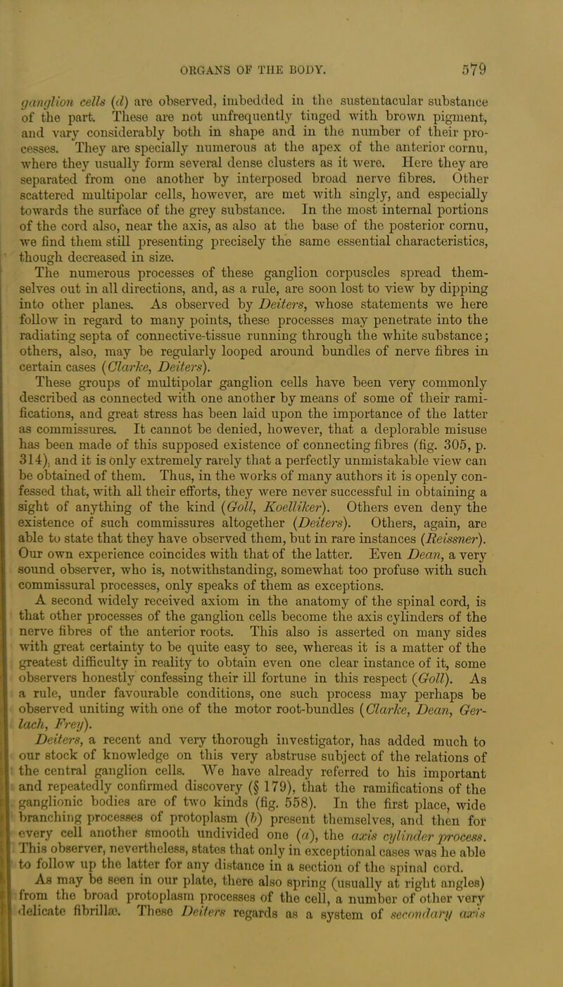 ganglion cells (cl) are observed, imbedded in the sustentacular substance of the part. These are not unfrequently tinged with brown pigment, and vary considerably both in shape and in the number of their pro- cesses. They are specially numerous at the apex of the anterior cornu, where they usually form several dense clusters as it were. Here they are separated from one another by interposed broad nerve fibres. Other scattered multipolar cells, however, are met with singly, and especially towards the surface of the grey substance. In the most internal portions of the cord also, near the axis, as also at the base of the posterior cornu, we find them still presenting precisely the same essential characteristics, though decreased in size. The numerous processes of these ganglion corpuscles spread them- selves out in all directions, and, as a rule, are soon lost to view by dipping into other planes. As observed by Deiters, whose statements we here follow in regard to many points, these processes may penetrate into the radiating septa of connective-tissue running through the white substance; others, also, may be regularly looped around bundles of nerve fibres in certain cases (Clarke, Deiters). These groups of multipolar ganglion cells have been very commonly described as connected with one another by means of some of their rami- fications, and great stress has been laid upon the importance of the latter as commissures. It cannot be denied, however, that a deplorable misuse has been made of this supposed existence of connecting fibres (fig. 305, p. 314). and it is only extremely rarely that a perfectly unmistakable view can be obtained of them. Thus, in the works of many authors it is openly con- fessed that, with all their efforts, they were never successful in obtaining a sight of anything of the kind (Goll, Koelliker). Others even deny the existence of such commissures altogether (Deiters). Others, again, are able to state that they have observed them, but in rare instances (Reissner). Our own experience coincides with that of the latter. Even Dean, a very sound observer, who is, notwithstanding, somewhat too profuse with such commissural processes, only speaks of them as exceptions. A second widely received axiom in the anatomy of the spinal cord, is that other processes of the ganglion cells become the axis cylinders of the nerve fibres of the anterior roots. This also is asserted on many sides with great certainty to be quite easy to see, whereas it is a matter of the greatest difficulty in reality to obtain even one clear instance of it, some observers honestly confessing their ill fortune in this respect (Goll). As a rule, under favourable conditions, one such process may perhaps be observed uniting with one of the motor root-bundles (Clarke, Dean, Ger- lach, Frey). Deiters, a recent and very thorough investigator, has added much to our stock of knowledge on this very abstruse subject of the relations of the central ganglion cells. We have already referred to his important and repeatedly confirmed discovery (§ 179), that the ramifications of the ganglionic bodies are of two kinds (fig. 558). In the first place, wide branching processes of protoplasm (b) present themselves, and then for every cell another smooth undivided one (a), the axis cylinder ‘process. This observer, nevertheless, states that only in exceptional cases was he able to follow lip the latter for any distance in a section of the spinal cord. As may be seen in our plate, there also spring (usually at right angles) from the broad protoplasm processes of the ceil, a number of other very delicate fibrillcC. These Deiters regards as a system of secondary axis