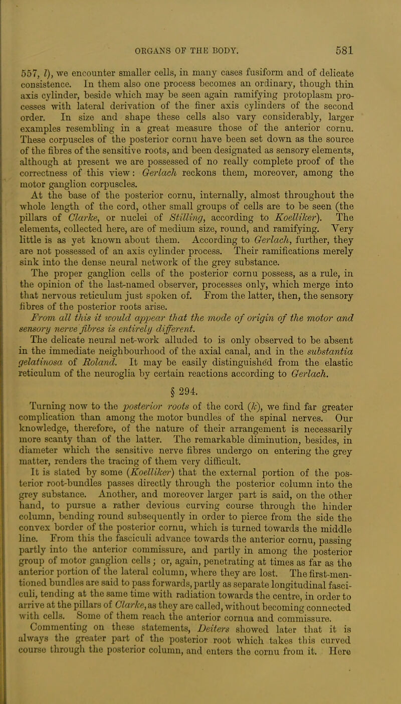 557, l), we encounter smaller cells, in many cases fusiform and of delicate consistence. In them also one process becomes an ordinary, though thin axis cylinder, beside which may be seen again ramifying protoplasm pro- cesses with lateral derivation of the finer axis cylinders of the second order. In size and shape these cells also vary considerably, larger examples resembling in a great measure those of the anterior cornu. These corpuscles of the posterior cornu have been set down as the source of the fibres of the sensitive roots, and been designated as sensory elements, although at present we are possessed of no really complete proof of the correctness of this view: Gerlacli reckons them, moreover, among the motor ganglion corpuscles. At the base of the posterior cornu, internally, almost throughout the whole length of the cord, other small groups of cells are to be seen (the pillars of Clarke, or nuclei of Stilling, according to Koelliker). The elements, collected here, are of medium size, round, and ramifying. Very little is as yet known about them. According to Gerlacli, further, they are not possessed of an axis cylinder process. Their ramifications merely sink into the dense neural network of the grey substance. The proper ganglion cells of the posterior cornu possess, as a rule, in the opinion of the last-named observer, processes only, which merge into that nervous reticulum just spoken of. From the latter, then, the sensory fibres of the posterior roots arise. From all this it would appear that the mode of origin of the motor and sensory nerve fibres is entirely different. The delicate neural net-work alluded to is only observed to be absent in the immediate neighbourhood of the axial canal, and in the substantia gelatinosa of Roland. It may be easily distinguished from the elastic reticulum of the neuroglia by certain reactions according to Gerlach. § 294. Turning now to the posterior roots of the cord (7c), we find far greater complication than among the motor bundles of the spinal nerves. Our knowledge, therefore, of the nature of their arrangement is necessarily more scanty than of the latter. The remarkable diminution, besides, in diameter which the sensitive nerve fibres undergo on entering the grey matter, renders the tracing of them very difficult. It is stated by some (Koellike,r) that the external portion of the pos- terior root-bundles passes directly through the posterior column into the grey substance. Another, and moreover larger part is said, on the other hand, to pursue a rather devious curving course through the hinder column, bending round subsequently in order to pierce from the side the convex border of the posterior cornu, which is turned towards the middle line. From this the fasciculi advance towards the anterior cornu, passim* partly into the anterior commissure, and partly in among the posterior group of motor ganglion cells; or, again, penetrating at times as far as the anterior portion of the lateral column, where they are lost. The first-men- tioned bundles are said to pass forwards, partly as separate longitudinal fasci- culi, tending at the same time with radiation towards the centre, in order to arrive at the pillars of Clarke,as they are called, without becoming connected with cells. Some of them reach the anterior cornua and commissure. Commenting on these statements, Deiters showed later that it is always the greater part of the posterior root which takes this curved course through the posterior column, and enters the cornu from it. Here
