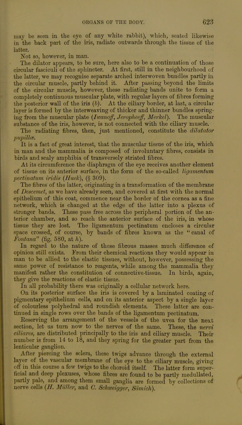 may be seen in the eye of any white rabbit), which, seated likewise in the back part of the iris, radiate outwards through the tissue of the latter. Not so, however, in man. The dilator appears, to be sure, here also to be a continuation of those circular fasciculi of the sphincter. At first, still in the neighbourhood of the latter, we may recognise separate arched interwoven bundles partly in the circular muscle, partly behind it. After passing beyond the limits of the circular muscle, however, these radiating bands unite to form a completely continuous muscular plate, with regular layers of fibres forming the posterior wall of the iris (b). At the ciliary border, at last, a circular layer is formed by the interweaving of thicker and thinner bundles spring- ing from the muscular plate (Iwanoff\ Jeropheeff, Merlcel). The muscular substance of the iris, however, is not connected with the ciliary muscle. The radiating fibres, then, just mentioned, constitute the dilatator pupillce. It is a fact of great interest, that the muscular tissue of the iris, which in man and the mammalia is composed of involuntary fibres, consists in birds and scaly amphibia of transversely striated fibres. At its circumference the diaphragm of the eye receives another element of tissue on its anterior surface, in the form of the so-called ligamentum pectinatum iridis (Huek), (§ 309). The fibres of the latter, originating in a transformation of the membrane of Descemet, as we have already seen, and covered at first with the normal epithelium of this coat, commence near the border of the cornea as a fine network, which is changed at the edge of the latter into a plexus of stronger bands. These pass free across the peripheral portion of the an- terior chamber, and so reach the anterior surface of the iris, in whose tissue they are lost. The ligamentum pectinatum encloses a circular space crossed, of course, by bands of fibres known as the “ canal of Fontana (fig. 580, at h). In regard to the nature of these fibrous masses much difference of opinion still exists. From their chemical reactions they would appear in man to be allied to the elastic tissues, without, however, possessing the same power of resistance to reagents, while among the mammalia they manifest rather the constitution of connective-tissue. In birds, again, they give the reactions of elastic tissue. In all probability there was originally a cellular network here. On its posterior surface the iris is covered by a laminated coating of pigmentary epithelium cells, and on its anterior aspect by a single layer of colourless polyhedral and roundish elements. These latter are con- tinued in single rows over the bands of the ligamentum pectinatum. Reserving the arrangement of the vessels of the uvea for the next section, let us turn now to the nerves of the same. These, the nervi ciliares, are distributed principally to the iris and ciliary muscle. Their number is from 14 to 18, and they spring for the greater part from the lenticular ganglion. After piercing the sclera, these twigs advance through the external layer of the vascular membrane of the eye to the ciliary muscle, giving off in this course a few twigs to the choroid itself. The latter form super- ficial and deep plexuses, whose fibres are found to be partly medullated, partly pale, and among them small ganglia are formed by collections of nerve cells (//. Muller, and 0. Schweigger, Scimich).