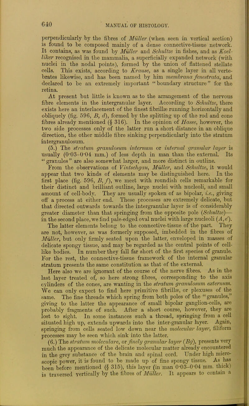 perpendicularly by the fibres of Milller (when seen in vertical section) is found to be composed mainly of a dense connective-tissue network. It contains, as was found by Muller and Schultze in fishes, and as Koel- liJcer recognised in the mammalia, a superficially expanded network (with nuclei in the nodal points), formed by the union of flattened stellate cells. This exists, according to Krause, as a single layer in all verte- brates likewise, and has been named by him membrana fenestraia, and declared to be an extremely important “boundary structure” for the retina. At present but little is known as to the arrangement of the nervous fibre elements in the intergranular layer. According to Schultze, there exists here an interlacement of the finest fibrillae running horizontally and obliquely (fig. 596, B, d), formed by the splitting up of the rod and cone fibres already mentioned (§ 316). In the opinion of jBasse, however, the two side processes only of the latter run a short distance in an oblique direction, the other middle fibre sinking perpendicularly into the stratum intergranulosum. (5.) The stratum granulosum internum or internal granular layer is usually (O'OS-O’OI mm.) of less depth in man than the external. Its “ granules” are also somewhat larger, and more distinct in outline. From the observations of Vintscligciu, Muller, and Schultze, it would appear that two kinds of elements may be distinguished here. In the first place (fig. 596, B,f), we meet with roundish cells remarkable for their distinct and brilliant outline, large nuclei with nucleoli, and small amount of cell-body. They are usually spoken of as bipolar, i.e., giving off a process at either end. These processes are extremely delicate, but that directed outwards towards the intergranular layer is of considerably greater diameter than that springing from the opposite pole (Schultze)— in the second place, we find pale-edged oval nuclei with large nucleoli (A,e'). The latter elements belong to the connective-tissue of the part. They are not, however, as was formerly supposed, imbedded in the fibres of Muller, but only firmly seated upon the latter, enveloped in masses of delicate spongy tissue, and may be regarded as the central points of cell- like bodies, in number they fall far short of the first species of granule. For the rest, the connective-tissue framework of the internal granular stratum presents the same constitution as that of the external. Here also we are ignorant of the course of the nerve fibres. As in the last layer treated of, so here strong fibres, corresponding to the axis cylinders of the cones, are wanting in the stratum granulosum externum. We can only expect to find here primitive fibrillse, or plexuses of the same. The fine threads which spring from both poles of the “ granules,” giving to the latter the appearance of small bipolar ganglion-cells, are probably fragments of such. After a short course, however, they are lost to sight. In some instances such a thread, springing from a cell situated high up, extends upwards into the inter-granular layer. Again, springing from cells seated low down near the molecular layer, filiform processes may be seen which sink into the latter. (6.) The stratum moleculare, or finely granular layer (By), presents very much the appearance of the delicate molecular matter already encountered in the grey substance of the brain and spinal cord. Under high micro- scopic power, it is found to be made up of fine spongy tissue. As has been before mentioned (§ 315), this layer (in man O'OS-OIM mm. thick) is traversed vertically by the fibres of Muller. It appears to contain a