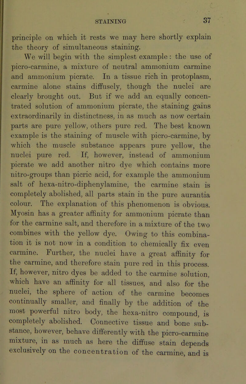 principle on which it rests we may here shortly explain the theory of simultaneous staining. We will begin with the simplest example: the use of picro-carmine, a mixture of neutral ammonium carmine and ammonium picrate. In a tissue rich in protoplasm, carmine alone stains diffusely, though the nuclei are clearly brought out. But if we add an equally concen- trated solution of ammonium picrate, the staining gains extraordinarily in distinctness, in as much as now certain parts are pure yellow, others pure red. The best known example is the staining of muscle with picro-carmine, by which the muscle substance appears pure yellow, the nuclei pure red. If, however, instead of ammonium picrate we add another nitro dye which contains more nitro-groups than picric acid, for example the ammonium salt of hexa-nitro-diphenylamine, the carmine stain is completely abolished, all parts stain in the pure aurantia colour. The explanation of this phenomenon is obvious. Myosin has a greater affinity for ammonium picrate than for the carmine salt, and therefore in a mixture of the two combines with the yellow dye. Owing to this combina- tion it is not now in a condition to chemically fix even carmine. Further, the nuclei have a great affinity for the carmine, and therefore stain pure red in this process. If, however, nitro dyes be added to the carmine solution, which have an affinity for all tissues, and also for the nuclei, the sphere of action of the carmine becomes continually smaller, and finally by the addition of the most powerful nitro body, the hexa-nitro compound, is completely abolished. Connective tissue and bone sub- stance, however, behave differently with the picro-carmine mixture, in as much as here the diffuse stain depends exclusively on the concentration of the carmine, and is