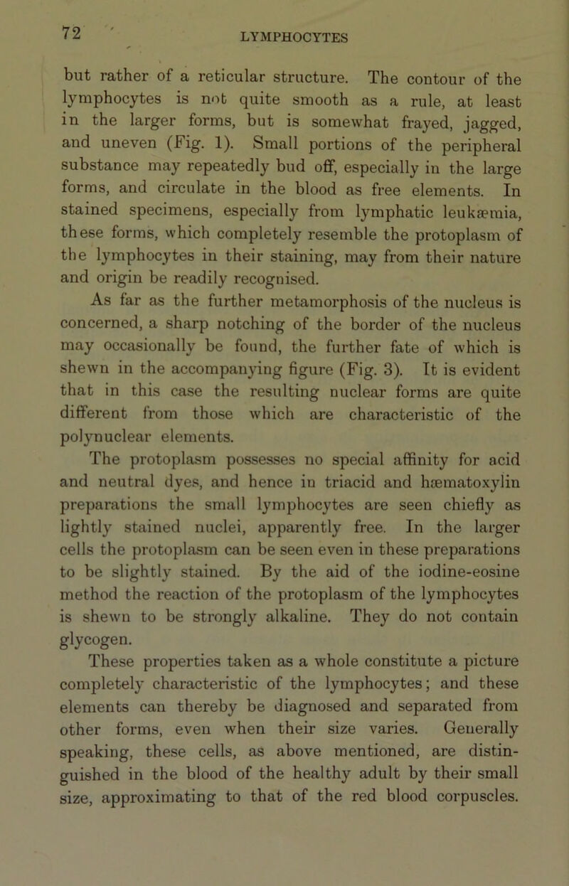 but rather of a reticular structure. The contour of the lymphocytes is not quite smooth as a rule, at least in the larger forms, but is somewhat frayed, jagged, and uneven (Fig. 1). Small portions of the peripheral substance may repeatedly bud off, especially in the large forms, and circulate in the blood as free elements. In stained specimens, especially from lymphatic leukfemia, these forms, which completely resemble the protoplasm of the lymphocytes in their staining, may from their nature and origin be readily recognised. As far as the further metamorphosis of the nucleus is concerned, a sharp notching of the border of the nucleus may occasionally be found, the further fate of which is shewn in the accompanying figure (Fig. 3). It is evident that in this case the resulting nuclear forms are quite different from those which are characteristic of the polynuclear elements. The protoplasm possesses no special affinity for acid and neutral dyes, and hence in triacid and hmmatoxylin preparations the small lymphocytes are seen chiefly as lightly stained nuclei, apparently free. In the larger cells the protoplasm can be seen even in these preparations to be slightly stained. By the aid of the iodine-eosine method the reaction of the protoplasm of the lymphocytes is shewn to be strongly alkaline. They do not contain glycogen. These properties taken as a whole constitute a picture completely characteristic of the lymphocytes; and these elements can thereby be diagnosed and separated from other forms, even when their size varies. Generally speaking, these cells, as above mentioned, are distin- guished in the blood of the healthy adult by their small size, approximating to that of the red blood corpuscles.