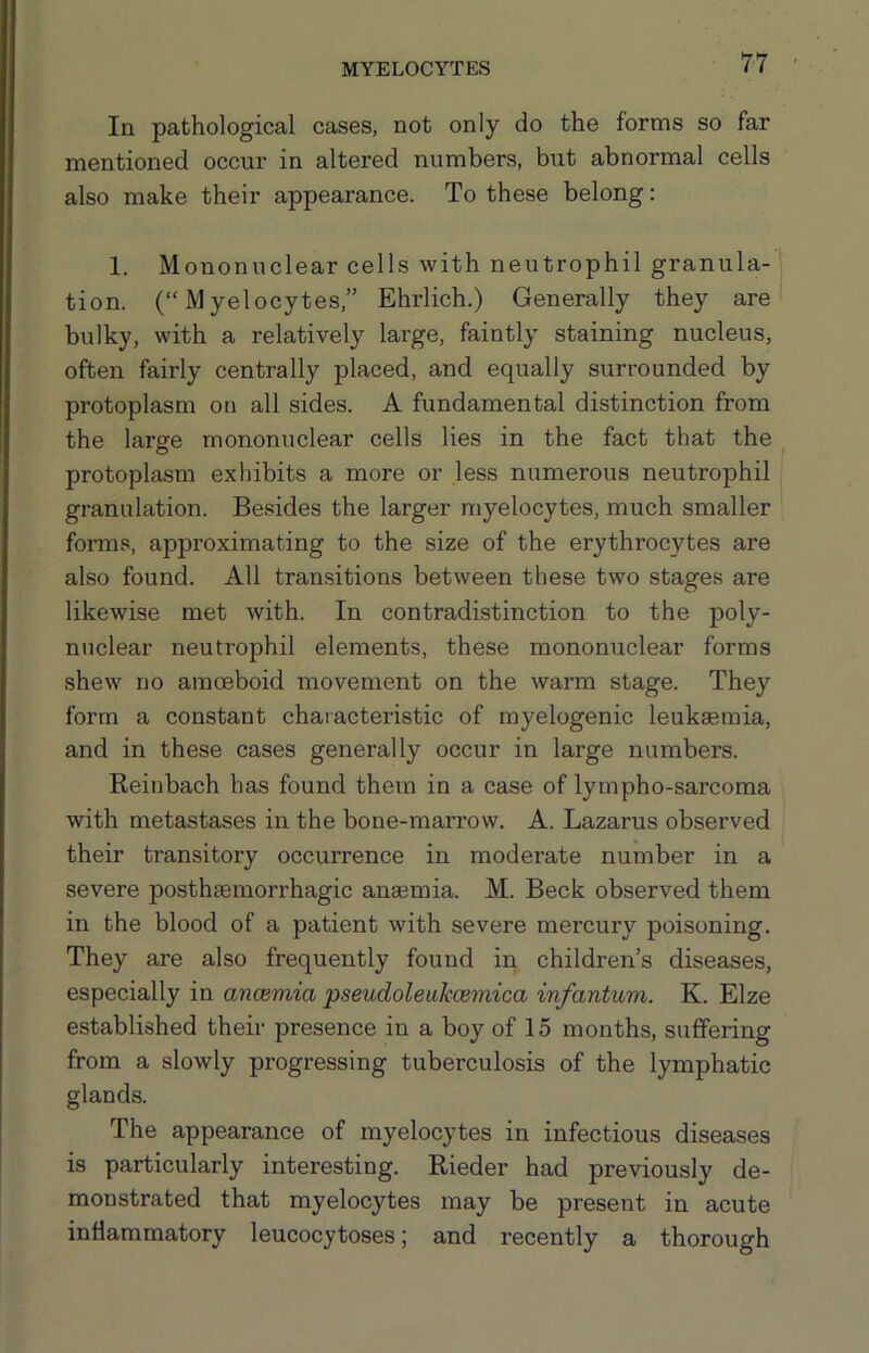 In pathological cases, not only do the forms so far mentioned occur in altered numbers, but abnormal cells also make their appearance. To these belong: 1. Mononuclear cells with neutrophil granula- tion. (“Myelocytes,” Ehrlich.) Generally they are bulky, with a relatively large, faintly staining nucleus, often fairly centrally placed, and equally surrounded by protoplasm on all sides. A fundamental distinction from the larffe mononuclear cells lies in the fact that the O protoplasm exhibits a more or less numerous neutrophil granulation. Besides the larger myelocytes, much smaller forms, approximating to the size of the erythrocytes are also found. All transitions between these two stages are likewise met with. In contradistinction to the poly- nuclear neutrophil elements, these mononuclear forms shew no amoeboid movement on the warm stage. They form a constant characteristic of myelogenic leukaemia, and in these cases generally occur in large numbers. Keinbach has found them in a case of lympho-sarcoma with metastases in the bone-marrow. A. Lazarus observed their transitory occurrence in moderate number in a severe posthaemorrhagic anaemia. M. Beck observed them in the blood of a patient with severe mercury poisoning. They are also frequently found in children’s diseases, especially in ancemia pseudoleakcemica infantum. K. Elze established their presence in a boy of 15 months, suffering from a slowly progressing tuberculosis of the lymphatic glands. The appearance of myelocytes in infectious diseases is particularly interesting. Rieder had previously de- monstrated that myelocytes may be present in acute inflammatory leucocytoses; and recently a thorough