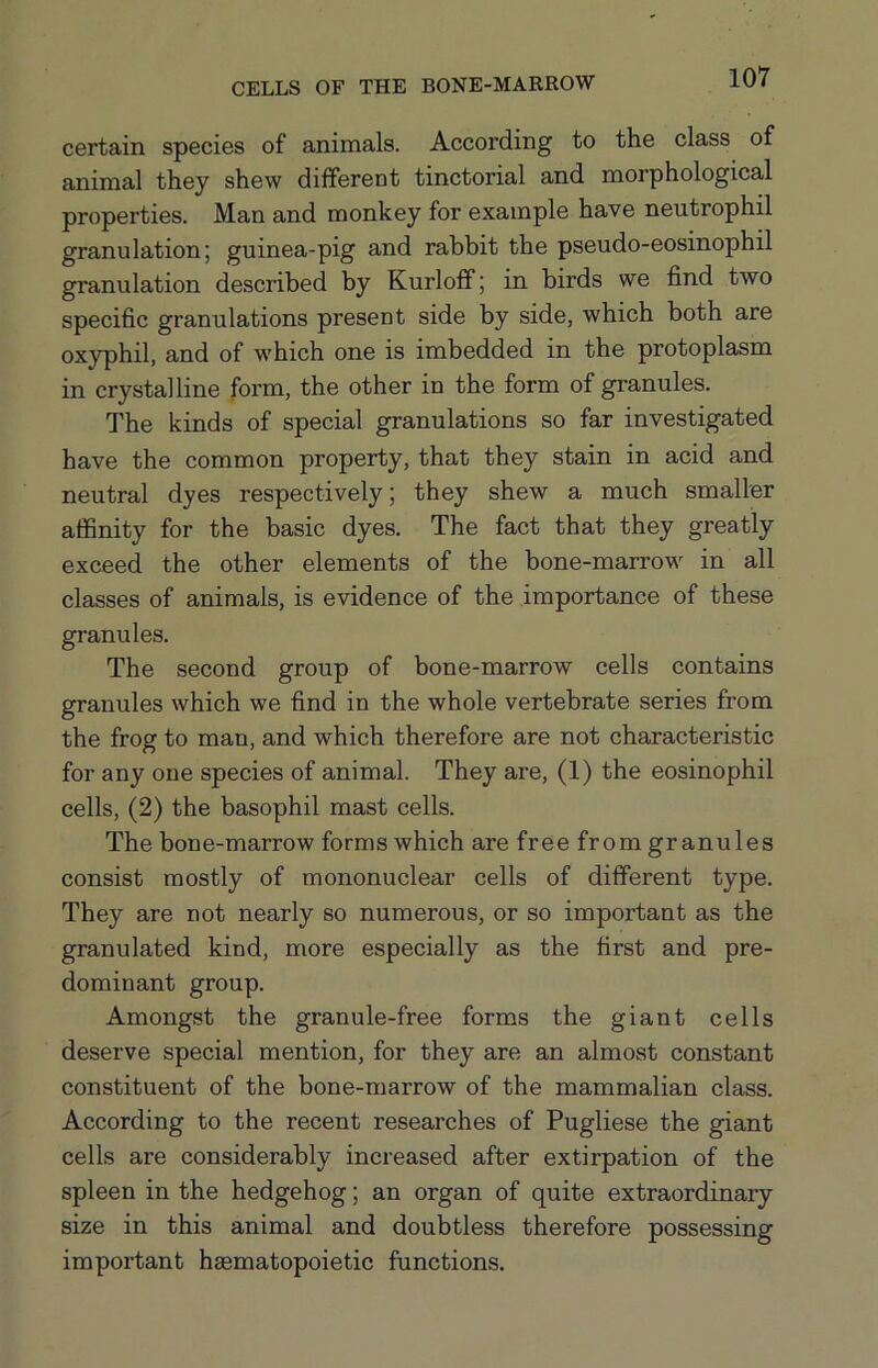 certain species of animals. According to the class of animal they shew different tinctorial and morphological properties. Man and monkey for example have neutrophil granulation; guinea-pig and rabbit the pseudo-eosinophil granulation described by Kurloff; in birds we find two specific granulations present side by side, which both are oxyphil, and of which one is imbedded in the protoplasm in crystalline form, the other in the form of granules. The kinds of special granulations so far investigated have the common property, that they stain in acid and neutral dyes respectively; they shew a much smaller affinity for the basic dyes. The fact that they greatly exceed the other elements of the bone-marrow in all classes of animals, is evidence of the importance of these granules. The second group of bone-marrow cells contains granules which we find in the whole vertebrate series from the frog to man, and which therefore are not characteristic for any one species of animal. They are, (1) the eosinophil cells, (2) the basophil mast cells. The bone-marrow forms which are free from granules consist mostly of mononuclear cells of different type. They are not nearly so numerous, or so important as the granulated kind, more especially as the first and pre- dominant group. Amongst the granule-free forms the giant cells deserve special mention, for they are an almost constant constituent of the bone-marrow of the mammalian class. According to the recent researches of Pugliese the giant cells are considerably increased after extirpation of the spleen in the hedgehog; an organ of quite extraordinary size in this animal and doubtless therefore possessing important haematopoietic functions.