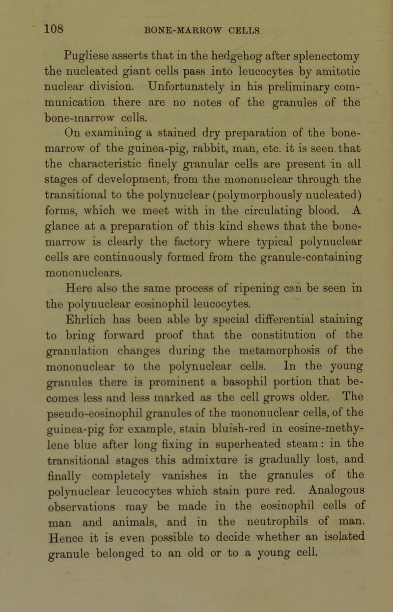 Pugliese asserts that in the hedgehog after splenectomy the nucleated giant cells pass into leucocytes by amitotic nuclear division. Unfortunately in his preliminary com- munication there are no notes of the granules of the bone-marrow cells. On examining a stained dry preparation of the bone- marrow of the guinea-pig, rabbit, man, etc. it is seen that the characteristic finely gi’anular cells are present in all stages of development, from the mononuclear through the transitional to the polynuclear (polymorphously nucleated) forms, which we meet with in the circulating blood. A glance at a preparation of this kind shews that the bone- marrow is clearly the factory where typical polynuclear cells are continuously formed from the granule-containing mononuclears. Here also the same process of ripening can be seen in the polynuclear eosinophil leucocytes. Ehrlich has been able by special differential staining to bring forward proof that the constitution of the granulation changes during the metamorphosis of the mononuclear to the polynuclear cells. In the young granules there is prominent a basophil portion that be- comes less and less marked as the cell grows older. The pseudo-eosinophil granules of the mononuclear cells, of the guinea-pig for example, stain bluish-red in eosine-methy- lene blue after long fixing in superheated steam: in the transitional stages this admixture is gradually lost, and finally completely vanishes in the granules of the polynuclear leucocytes which stain pure red. Analogous observations may be made in the eosinophil cells of man and animals, and in the neutrophils of man. Hence it is even possible to decide whether an isolated granule belonged to an old or to a young cell.