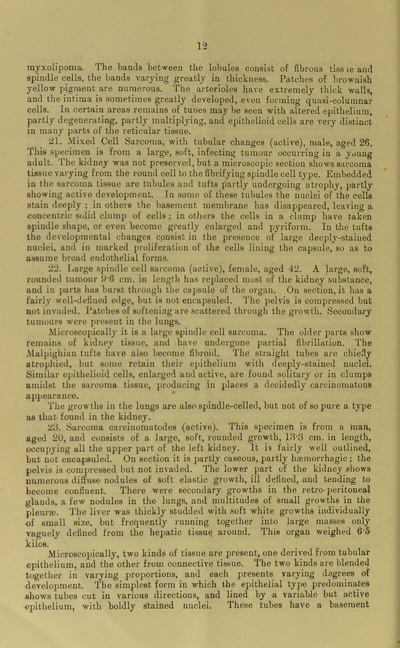 1-2 myxolipoma. The bands between the lobules consist of fibrous tiss le and spindle cells, the bands varying greatly in thickness. Patches of brownish yellow pigment are numerous. The arterioles have extremely thick walls, and theintima is sometimes greatly developed, even forming quasi-coluranar cells. In certain areas remains of tnoes may be seen with altered epithelium, partly degenerating, partly multiplying, and epithelioid cells are very distinct in many parts of the reticular tissue. 21. Mixed Cell Sarcoma, with tubular changes (active), male, aged 26, This specimen is from a large, soft, infecting tumour occurring in a young adult. The kidney was not preserved, but a microscopic section shows sarcoma tissue varying from the round cell to the fibrifying spindle cell type. Embedded in the sarcoma tissue are tubules and tufts partly undergoing atrophy, partly showing active development. In some of these tubules the nuclei of the cells stain deeply ; in others the basement membrane has disappeared, leaving a concentric solid clump of cells ; in others the cells in a clump have taken spindle shape, or even become greatly enlarged and pyriform. In the tufts the developmental changes consist in the presence of large deeply-stained nuclei, and in marked proliferation of the cells lining the capsule, so as to assume broad endothelial forms. 22. Large spindle cell sarcoma (active), female, aged 42. A large, soft, rounded tumour y-8 cm. in length has replaced must of the kidney substance, and in parts has burst through tlie capsule of the organ. On section, it has a fairly well-defined edge, but is not encapsuled. 'I'he pelvis is compressed but not invaded. Patches of softening are scattered through the growth. Secondary tumours were present in the lungs. Microscopically it is a large spindle cell sarcoma. The older parts show remains of kidney tissue, and have undergone partial fibrillation. The Malpighian tufts have also become fibroid. The straight tubes are chiefly atrophied, but some retain their epithelium with deeply-stained nuclei. Similar epithelioid cells, enlarged and active, are found solitary or in clumps amidst the sarcoma tissue, producing in places a decidedly carcinomatous appearance. The growths in the lungs are also spindle-celled, but not of so pure a type as that found in the kidney. 23. Sarcoma carcinomatodes (active). This specimen is from a man, aged 20, and consists of a large, soft, rounded growth, 18-3 cm. in length, occu2)ying all the upper part of the left kidney. It is fairly well outlined, but not encai)8uled. On section it is partly caseous, partly hasmorrhagic; the pelvis is com{jressed but not invaded. The lower part of the kidney shows numerous diffuse nodules of soft elastic growth, ill defined, and tending to become confluent. There w’ere secondary growths in the retro-peritoneal glands, a few nodules in the lungs, and multitudes of small growths in the pleurje. The liver was thickly studded with soft white growths individually •of small size, but frequently running together into large masses only vaguely defined from the hepatic tissue around. This organ weighed 6-5 kilos. Microscopically, two kinds of tissue are present, one derived from tubular epithelium, and the other from connective tissue. The two kinds are blended together in varying proportions, and each presents varying degrees of development. The simplest form in which the epithelial type predominates shows tubes cut in various directions, and lined by a variable but active •ej)ithelium, with boldly stained nuclei. These tubes have a basement