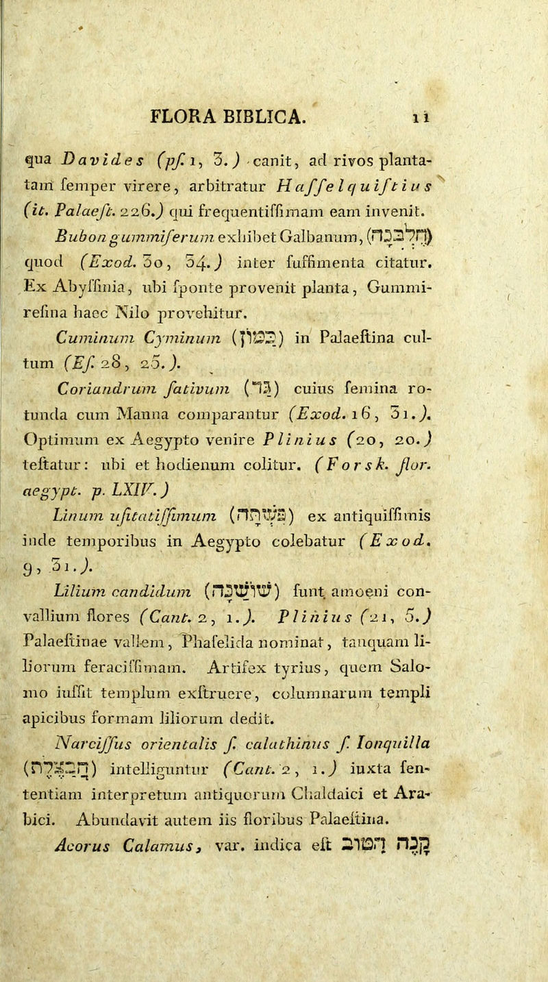 qua David es (pf. i, 3. ) canit, ad rivos planta- tam femper virere, arbitratur H aff e l c/ uif ti u s (it. Palaeft. 226.) qui frequentiffimam eam invenit. Bubon gummiferum exhibet Galbanum, (TOsVlT) quod (Exod. 5o, 04.) inter fuffimenta citatur. ExAbyllinia, ubi fponte provenit planta, Gummi- refina haec Nilo provehitur. Cuminum Cyminum (J12213) in Palaellina cul- tum (Ef.28, 2.0.). Coriandrum fativum (0J1) cuius femina ro- tunda cum Manna comparantur (Exod. 16, 51.). Optimum ex Aegypto venire Plinius (2.0, 20.) teftatur: ubi et hodienum colitur. (Forsk. flor, aegypt. p. LX1F.) Linum ufitatiffnnum (HvIlVS) ex antiquiffimis inde temporibus in Aegypto colebatur (Exod. 9, Si.). Lilium candidum (n3tIT017) funt amoeni con- vallium flores (Cant. 2, 1.). Plinius (21, 5.) Palaeftinae vallem, Phafelida nominat, tanquam li- liorum feraciffimatn. Artifex tyrius, quem Salo- mo iuffit templum exltruere, columnarum templi apicibus formam liliorum dedit. NarcijJiis orientalis f. calathinus f. Ionquilla (nT»2n) inteliiguntur (Carit. 2, 1.) iuxta fen- tentiam interpretum antiquorum Chaldaici et Ara- bici. Abundavit autem iis floribus Palaellina. Acorus Calamus j var. indica eit 21130 H3j3