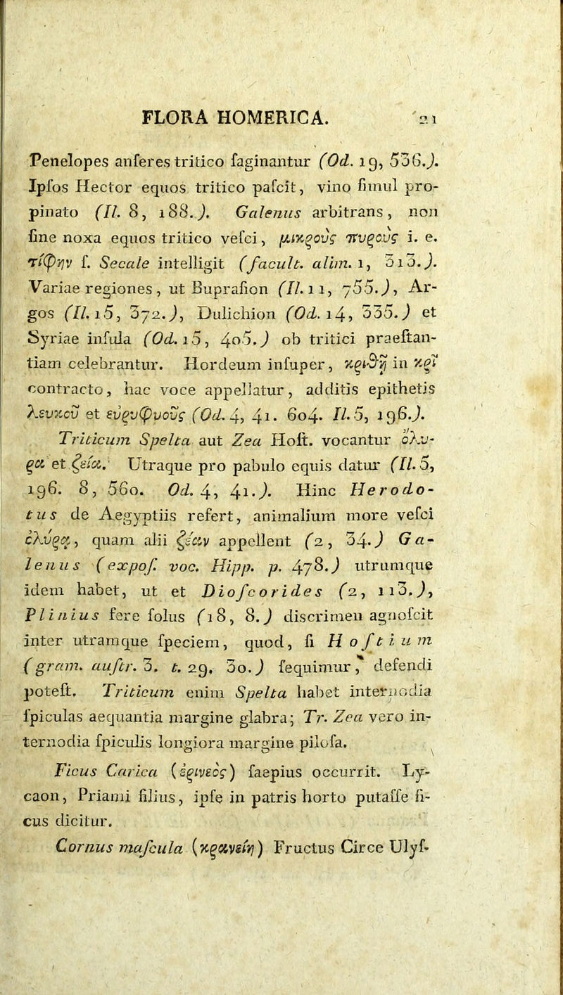 Penelopes auferes tritico faginantur (Od. 19, 556.). Ipfos Hector equos tritico pafcit, vino fimul pro- pinato (II. 8, 188.). Gcdenus arbitrans, non fine noxa equos tritico vefci, [M%povg 7xv^ovg i. e. Tflpvjv f. Secale intelligit (facult. alim. 1, 3i3.). Variae regiones , ut Buprafion (II.11, /55.), Ar- gos (II. i5, 5~j2.), Dulichion (Od. i4? 555.) et Sy riae infula (Od. 15, 4°3.) ob tritici praeftan- tiam celebrantur. Hordeum infuper, KgiS'vj in v.di contracto, hac voce appellatur, additis epithetis Xsvxcv et evgvtpvovf (Od.4, 41- 6°4* H. 5, i$6.J. Triticum Spelta aut Zea Holt, vocantur oXv- et &fct. Utraque pro pabulo equis datur (11.5, 196. 8, 56o. Od. 4, 41-^* Hinc Herodo- tus de Aegyptiis refert, animalium more vefci cXv^ct, quam alii §sav appellent (2, 34-) Ga- lenus (expof. voc. Hipp. p. 478.J utrumque idem habet, ut et Diofcorides (2, ii3,J, Plinius fere f olus fi8, 8.) discrimen agnofcit inter utramque fpeciem, quod, fi Hoftium (gram, auftr.5. t. 29. 5o. J fequimur, defendi poteft. Triticum enim Spelta habet internodia ipiculas aequantia margine glabra; Tr. Zea vero in- ternodia fpiculis longiora margine pilofa. Ficus Carica (s^ivecg) faepius occurrit. Ly- caon, Priami filius, ipfe in patris horto putaffe fi- cus dicitur. Cornus mafcula (Kgotvsfy) Fructus Circe Ulyf-