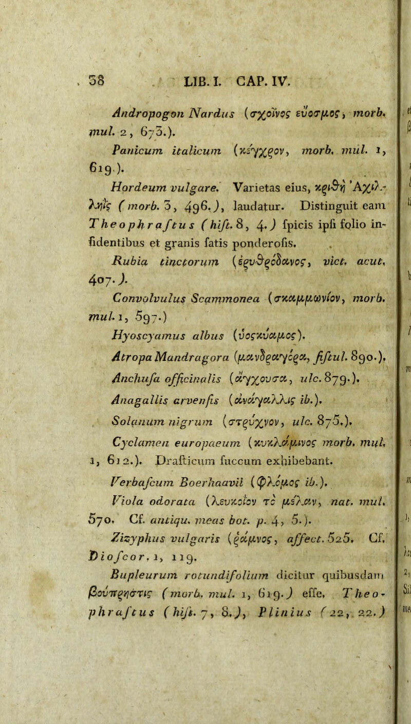 Andropogon Nardus {<T%oivog evotrpog, morb. mul. 2, 675.). Panicum italicum (nzyx^ov, morb, mill. i> 619,). Hordeum vulgare. Varietas eius, nqiSfi kvjig ( morb. 3, 49^. J, laudatur. Distinguit eam Theophraftus (hift. 8, 4*) fpicis ipfi folio in- iidentibus et granis fatis ponderous. Rubia tinctorum (fev&godotvpg, viet, acut, 4»7- >)• Convolvulus Scammonea (<j%ctp,[/,<vviov, morb. muli, 597.) Hyoscyamus albus (vogxvcipog), Atropa Mandragora (p.ctv$gctycget, fiftul. 890-)» Ancfiiifa officinalis («7%puca? ulc.879*)* Anagallis arvenfis (dvdyct\Xig ib.). Solanum nigrum (<TT(?v%VQV) ulc, 876.). Cyclamen europaeum (nvytXv.pivog morb. mul 3, 612.). Drafticum fucGum exhibebant. Verbafcum Boerhaavil ((pXcp.cg ib.). Viola odorata (XevKOiov rc pskc&V, nat. mul, 670» Cf. antiqu. pieas bot. p. 4> 5.). Zizyphus vulgaris {£dpvog, affect. 5rj.5, Cf. Diofcor, i, x 19. Bupleurum rotundifollum dicitur quibusdam (ZovTfgyi&Tig (morb, mul. 1, 819.) effe, Theo* phraftus ( hift. 7, 8,^, Plinius f 22, 2,2.)