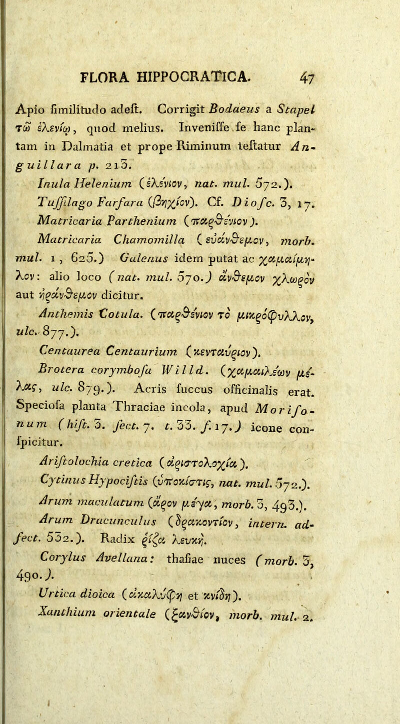 Apio fimilitudo aclelt. Corrigit Bodaeus a Stapel tw sXsvico, qxiocl melius. Inveniffe fe hanc plan- tam in Dalmatia et prope Riminum teftatur An- guli l ar a p. 215. Inula Helenium (eXsviov, nat. mul. 572.). TuJJilago Farfara (firiyjcv). Cf. Diofc. 3, 17. Matricaria Parthenium (TTXg&syiov J. Matricaria Chamomilla (svclv&epcv, morb. mul. 1 , 625.) Galenus idem putat ac ya.y.ciipvi- Xov: alio loco (nat. mul.5jo.) uv&sy.ov yXuigov aut Yigtxv&ey.ov dicitur. Anthemis Cotula. ('nuqS'sviov to yiKgo(pvXXovy ulc. 877.). Centaurea Centaurium (xevrcivgiov). Brotera corymbofa Willd. (yapcuXscov fis- Xctg, ulc. 879.). Acris fuccus officinalis erat. Speciofa planta Thraciae incola, apud Morifo- num (hi ft. 5. feet. 7. *. 33./.17J icone con- fpicitur. Ariftolochia cretica (dgia’ToXoyici'). Cytinus Hypociftis (vKoyJcttis, nat. mul. O72.). Arum maculatum (dgoy fJLsyet, morb. 5, 4g3.). Arum Dracunculus ( SgayovTiov , intern, ad- ject. 5 5 2.). Radix gif a Xsvxyj. Corylus Avellana: thafiae nuces (morb. 3, 490.). Urtica dioica (dxciXv(pyi et %vth7). Xanthium orientale V'Bi'oV) morb. mul. 2.