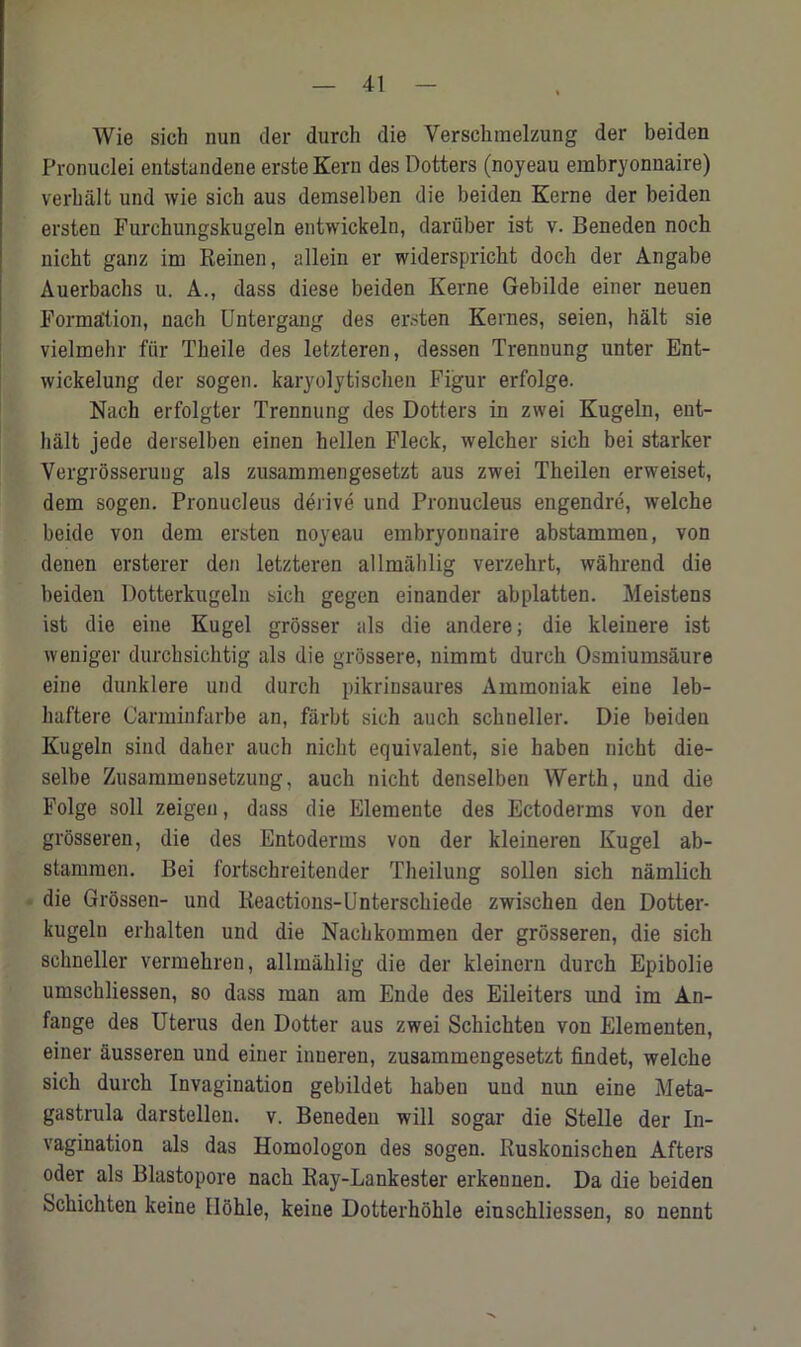 Wie sich nun der durch die Verschraelzung der beiden Pronuclei entstandene erste Kern des Dotters (noyeau embryonnaire) verbalt und wie sich aus demselben die beiden Kerne der beiden ersten Furchungskugeln entwickeln, dariiber ist v. Beneden noch nicht ganz im Reinen, allein er widerspricht docli der Angabe Auerbachs u. A., dass diese beiden Kerne Gebilde einer neuen Formation, nach Untergang des ersten Kernes, seien, halt sie vielmehr fur Theile des letzteren, dessen Trennung unter Ent- wickelung der sogen. karyolytischen Figur erfolge. Nach erfolgter Trennung des Dotters in zwei Kugeln, eut- halt jede derselben einen hellen Fleck, welcher sich bei starker Vergrosseruug als zusammengesetzt aus zwei Theilen erweiset, dem sogen. Pronucleus derive und Pronucleus engendre, welche beide von dem ersten noyeau embryonnaire abstammen, von denen ersterer den letzteren allmahlig verzehrt, wahrend die beiden Dotterkugelu sich gegen einander abplatten. Meistens ist die eine Kugel grosser als die andere; die kleinere ist weniger durchsichtig als die grbssere, nimmt durch Osmiumsaure eine dunklere und durch pikrinsaures Ammoniak eine leb- haftere Carminfarbe an, farbt sich auch schneller. Die beiden Kugeln sind daher auch nicht equivalent, sie haben nicht die- selbe Zusammensetzung, auch nicht denselben Werth, und die Folge soli zeigen, dass die Elemente des Ectoderms von der grosseren, die des Entoderms von der kleineren Kugel ab- stammen. Bei i'ortschreitender Theilung sollen sich namlich die Grossen- und Reactions-Unterschiede zwischen den Dotter- kugelu erhalten und die Nacbkommen der grosseren, die sich schneller vermehren, allmahlig die der kleinern durch Epibolie umschliessen, so dass man am Ende des Eileiters und im An- fange des Uterus den Dotter aus zwei Schichteu von Elementen, einer ausseren und einer inueren, zusammengesetzt findet, welche sich durch Invagination gebildet haben und nun eine Meta- gastrula darstellen. v. Beneden will sogar die Stelle der In- vagination als das Homologon des sogen. Ruskonischen Afters oder als Blastopore nach Ray-Lankester erkennen. Da die beiden Schichten keine Ilohle, keiue Dotterhohle einschliessen, so nennt