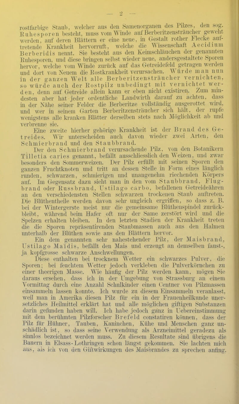 rostfarbige Staub, welcher aus den Samenorganen des Pilzes, den sog. Euliesporen bestellt, muss vom Winde auf Berberitzensträuclier geweht werden. auf deren Blättern er eine neue, in Gestalt rotlier Flecke auf- tretende Krankheit hervorruft, welche die Wissenschaft Aecidium 13 erb er idis nennt. Sie besteht aus den Keimschläuchen der genannten Euliesporen. und diese bringen selbst wieder neue, andersgestaltete Sporen hervor, welche vom Winde zurück auf das Getreidefeld getragen werden und dort von Neuem die Kostkrankheit verursachen. V ürde man nun in der ganzen Welt alle Berberitzensträuclier vernichten, so würde auch der Rostpilz unbedingt mit vernichtet wer- den, denn auf Getreide allein kann er eben nicht existiren. Zum min- desten aber hat jeder ordentliche Landwirth darauf zu achten, dass in der Nähe seiner Felder die Berberitze vollständig ausgerottet wird, und wer in seinem Garten Berberitzensträuclier sich halt. der rupfe wenigstens alle kranken Blätter derselben stets nach Möglichkeit ab und verbrenne sie. Eine zweite hierher gehörige Krankheit ist der Brand des Ge- treides. Wir unterscheiden auch davon wieder zwei Arten, den Schmierbrand und den Staubbrand. Der den Schmierbrand verursachende Pilz, von den Botanikern Tilletia caries genannt, befällt ausschliesslich den Weizen, und zwar besonders den Sommerweizen. Der Pilz erfüllt mit seinen Sporen den ganzen Fruchtknoten und tritt an dessen Stelle in Form eines länglich runden, schwarzen, schmierigen und unangenehm riechenden Körpers auf. Im Gegensatz dazu sieht man in den vom Staubbrand. Flug- brand oder Bussbrand, Ustilago carbo, befallenen Getreideähren an den verschiedensten Stellen schwarzen trockenen Staub auftreten. Die Blüthentheile werden davon sehr ungleich ergriffen, so dass z. B. bei der Wintergerste meist nur die gemeinsame Blüthenspindel zurück- bleibt, während beim Hafer oft nur der Same zerstört wird und die Spelzen erhalten bleiben. In den letzten Stadien der Krankheit treten die die Sporen repräsentirenden Staubmassen auch aus den Halmen unterhalb der Blüthen sowie aus den Blättern hervor. Ein dem genannten sehr nahestehender Pilz, der Maisbrand, Ustilago Mai dis, befällt den Mais und erzeugt an demselben taust-, ja kopfgrosse schwarze Anschwellungen. Diese enthalten bei trocknem Wetter ein schwarzes Pulver, die Sporen; bei feuchtem Wetter jedoch verkleben die Pulverkörnchen zu einer theerigen Masse. Wie häufig der Pilz werden kann, mögen Sie daraus ersehen, dass ich in der Umgebung von Strassburg an einem Vormittag durch eine Anzahl Schulkinder einen Centner von Pilzmassen einsammeln lassen konnte. Ich wurde zu diesem Einsammehl veranlasst, weil man in Amerika diesen Pilz für ein in der Frauenheilkunde uner- setzliches Heilmittel erklärt hat und alle möglichen giftigen Substanzen darin gefunden haben will. Ich habe jedoch ganz in Uebereinstimmung mit dem berühmten Pilzforscher Brefeld constatiren können, dass der Pilz für Hühner, Tauben, Kaninchen, Kühe und Menschen ganz un- schädlich ist, so dass seine Verwendung als Arzneimittel geradezu als sinnlos bezeichnet werden muss. Zu diesem Resultate sind übrigens die Bauern in Eisass-Lothringen schon längst gekommen. Sie lachten mich aus, als ich von den Gilt Wirkungen des Maisbrandes zu sprechen anfing.