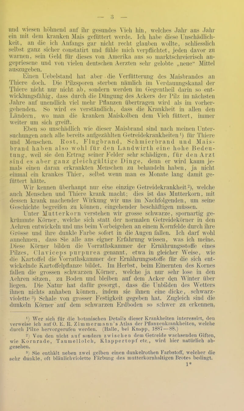 und wiesen höhnend auf ihr gesundes Vieh hin, welches Jahr aus Jahr ein mit dem kranken Mais gefüttert werde. Ich habe diese Unschädlich- keit, an die ich Anfangs gar nicht recht glauben wollte, schliesslich selbst ganz sicher constatirt und fühle mich verpflichtet, jeden davor zu warnen, sein Geld für dieses von Amerika aus so marktschreierisch an- gepriesene und von vielen deutschen Aerzten sehr gelobte „neue“ Mittel auszugeben. Einen Uebelstaml hat aber die Verfütterung des Maisbrandes an Tliiere doch. Die Pilzsporen sterben nämlich im Verdauungskanal der Thiere nicht nur nicht ab. sondern werden im Gegentheil darin so ent- wicklungsfähig. dass durch die Düngung des Ackers der Pilz im nächsten Jahre auf unendlich viel mehr Pflanzen übertragen wird als im vorher- gehenden. So wird es verständlich, dass die Krankheit in allen den Ländern, wo man die kranken Maiskolben dem Vieh füttert, immer weiter um sich greift. Eben so unschädlich wie dieser Maisbrand sind nach meinen Unter- suchungen auch alle bereits aufgezählten Getreidekrankheitenfür Thiere und Menschen. Post. Flugbrand, Schmierbrand und Mais- brand haben also wohl für den Landwirth eine hohe Bedeu- tung. weil sie den Ertrag seiner Felder sehr schädigen, für den Arzt sind es aber ganz gleichgültige Dinge, denn er wird kaum je- mals einen daran erkrankten Menschen zu behandeln haben, ja nicht einmal ein krankes Thier, selbst wenn man es Monate lang damit ge- füttert hätte. Wir kennen überhaupt nur eine einzige Getreidekrankheit* 2 3), welche auch Menschen und Thiere krank macht; dies ist das Mutterkorn, mit dessen krank machender Wirkung wir uns im Nachfolgenden, um seine Geschichte begreifen zu können, eingehender beschäftigen müssen. Unter Mutterkorn verstehen wir grosse schwarze, spornartig ge- krümmte Körner, welche sich statt der normalen Getreidekörner in den Aehren entwickeln und uns beim Vorbeigehen an einem Kornfelde durch ihre Grösse und ihre dunkle Farbe sofort in die Augen fallen. Ich darf wohl annehmen, dass Sie alle aus eigner Erfahrung wissen, was ich meine. Diese Körner bilden die Vorrathskammer der Ernährungsstoffe eines Pilzes. Claviceps pur pur ea genannt, etwa in gleicher Weise, wie die Kartoffel die Vorrathskammer der Ernährungsstoffe für die sich ent- wickelnde Kartoffelpflanze bildet. Im Herbst, beim Einernten des Kornes fallen die grossen schwarzen Körner, welche ja nur sehr lose in den Aehren sitzen, zu Boden und bleiben auf dem Acker den Winter über liegen. Die Natur hat dafür gesorgt, dass die Unbilden des Wetters ihnen nichts anhaben können, indem sie ihnen eine dicke, schwarz- violette :!) Schale von grosser Festigkeit gegeben hat. Zugleich sind die dunkeln Körner auf dem schwarzen Erdboden so schwer zu erkennen, ') Wer sicli für die botanischen Details dieser Krankheiten interessirt, den verweise ich ant'O. E. R. Zimmer mann’s Atlas der Pflanzenkrankheiten, welche durch Pilze hervorgerufen werden. (Halle, bei Knapp, 1887 — 88.) 2) Von den nicht auf sondern zwischen dem Getreide wachsenden Giften, wie Kornrade, Taumellolch, Klappertopf etc., wird hier natürlich ab- gesehen. 3) Sie enthält neben zwei gelben einen dunkelrothen Farbstoff, welcher die sehr dunkle, oft bläulichviolette Färbung des mutterkornhaltigen Brotes bedingt. 1*