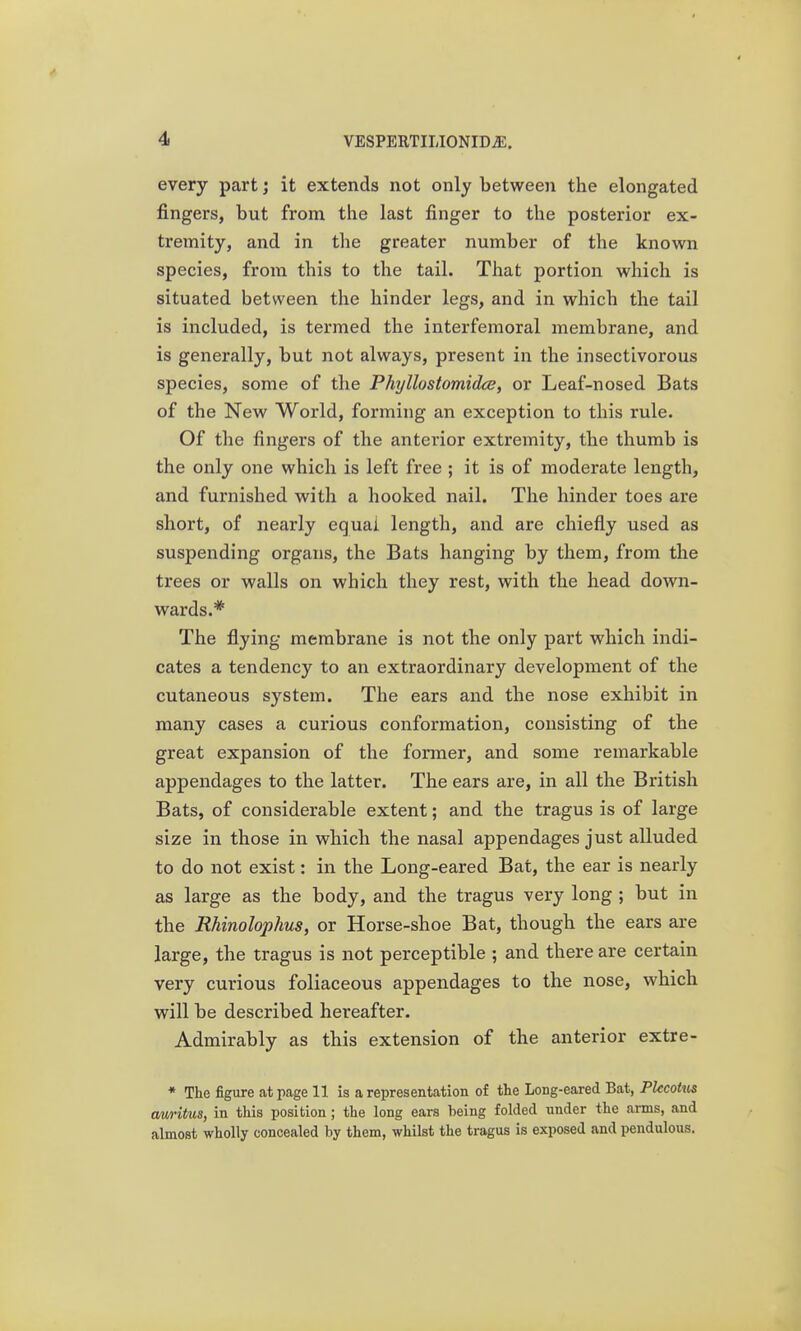 every part j it extends not only between the elongated fingers, but from the last finger to the posterior ex- tremity, and in tlie greater number of the known species, from this to the tail. That portion which is situated between the hinder legs, and in which the tail is included, is termed the interfemoral membrane, and is generally, but not always, present in the insectivorous species, some of the Phjlhstomidce, or Leaf-nosed Bats of the New World, forming an exception to this rule. Of the fingers of the anterior extremity, the thumb is the only one which is left free ; it is of moderate length, and furnished with a hooked nail. The hinder toes are short, of nearly equal length, and are chiefly used as suspending organs, the Bats hanging by them, from the trees or walls on which they rest, with the head down- wards.* The flying membrane is not the only part which indi- cates a tendency to an extraordinary development of the cutaneous system. The ears and the nose exhibit in many cases a curious conformation, consisting of the great expansion of the former, and some remarkable appendages to the latter. The ears are, in all the British Bats, of considerable extent; and the tragus is of large size in those in which the nasal appendages just alluded to do not exist: in the Long-eared Bat, the ear is nearly as large as the body, and the tragus very long ; but in the Rhinolophus, or Horse-shoe Bat, though the ears are large, the tragus is not perceptible ; and there are certain very curious foliaceous appendages to the nose, which will be described hereafter. Admirably as this extension of the anterior extre- * The figure at page 11 is a representation of the Long-eared Bat, Plccotm cm-itus, in this position; the long ears being folded under the arms, and almost wholly concealed by them, whilst the tragus is exposed and pendulous.