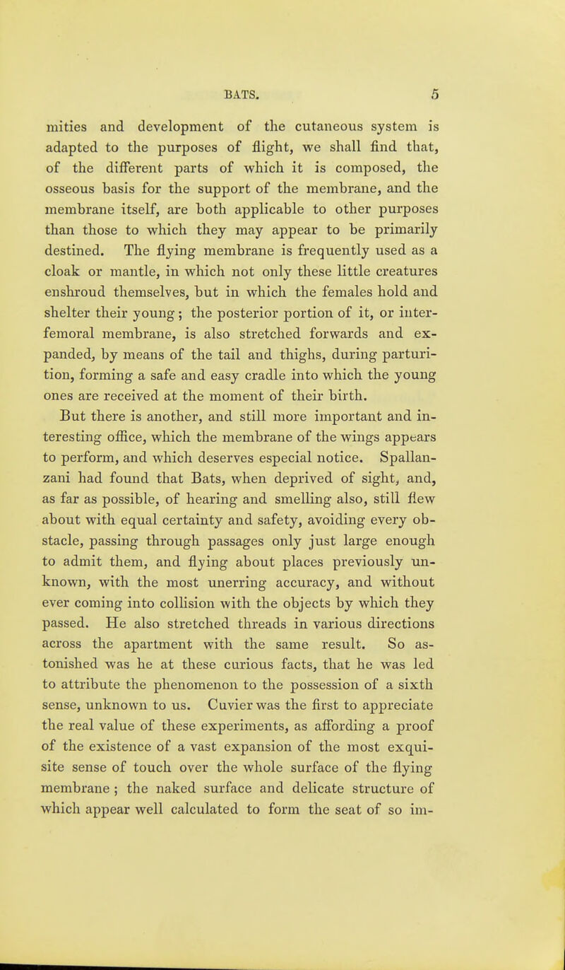 mities and development of the cutaneous system is adapted to the purposes of flight, we shall find that, of the different parts of which it is composed, the osseous basis for the support of the membrane, and the membrane itself, are both applicable to other purposes than those to which they may appear to be primarily destined. The flying membrane is frequently used as a cloak or mantle, in which not only these little creatures enshroud themselves, but in which the females hold and shelter their young; the posterior portion of it, or inter- feraoral membrane, is also stretched forwards and ex- panded, by means of the tail and thighs, during parturi- tion, forming a safe and easy cradle into which the young ones are received at the moment of their birth. But there is another, and still more important and in- teresting ofiice, which the membrane of the wings appears to perform, and which deserves especial notice. Spallan- zani had found that Bats, when deprived of sight, and, as far as possible, of hearing and smelling also, still flew about with equal certainty and safety, avoiding every ob- stacle, passing through passages only just large enough to admit them, and flying about places previously un- known, with the most unerring accuracy, and without ever coming into collision with the objects by which they passed. He also stretched threads in various directions across the apartment with the same result. So as- tonished was he at these curious facts, that he was led to attribute the phenomenon to the possession of a sixth sense, unknown to us. Cuvierwas the first to appreciate the real value of these experiments, as afibrding a proof of the existence of a vast expansion of the most exqui- site sense of touch over the whole surface of the flying membrane ; the naked surface and delicate structure of which appear well calculated to form the seat of so ini-