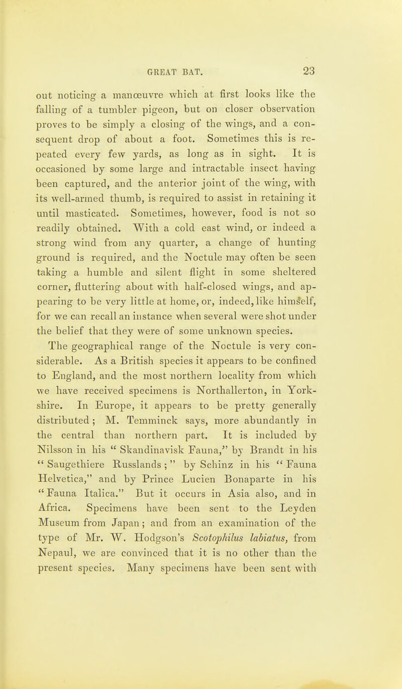 out noticing a manoeuvre which at first looics like the falling of a tumbler pigeon, but on closer observation proves to be simply a closing of the wings, and a con- sequent drop of about a foot. Sometimes this is re- peated every few yards, as long as in sight. It is occasioned by some large and intractable insect having been captured, and the anterior joint of the wing, with its well-armed thumb, is required to assist in retaining it until masticated. Sometimes, however, food is not so readily obtained. With a cold east wind, or indeed a strong wind from any quarter, a change of hunting ground is required, and the Noctule may often be seen taking a humble and silent flight in some sheltered corner, fluttering about with half-closed wings, and ap- pearing to be very little at home, or, indeed, like himself, for we can recall an instance when several were shot under the belief that they were of some unknown species. The geographical range of the Noctule is very con- siderable. As a British species it appears to be confined to England, and the most northern locality from which we have received specimens is Northallerton, in York- shire. In Europe, it appears to be pretty generally distributed ; M. Temminck says, more abundantly in the central than northern part. It is included by Nilsson in his  Skandinavisk Fauna,*' by Brandt in his *' Saugethiere Russlands ;  by Schinz in his  Fauna Helvetica, and by Prince Lucien Bonaparte in his Fauna Italica. But it occurs in Asia also, and in Africa. Specimens have been sent to the Leyden Museum from Japan; and from an examination of the type of Mr. W. Hodgson's Scotopkilus labiatus, from Nepaul, we are convinced that it is no other than the present species. Many specimens have been sent with