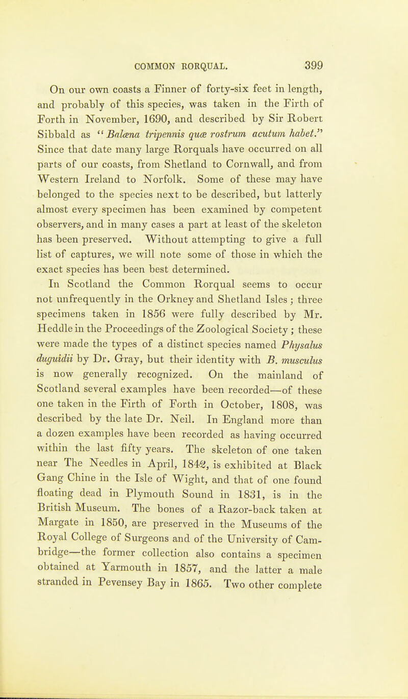 On our own coasts a Finner of forty-six feet in length, and probably of this species, was taken in the Firth of Forth in November, 1690, and described by Sir Robert Sibbald as Balcena iripennis quce rostrum acutum habet.''' Since that date many large Rorquals have occurred on all parts of our coasts, from Shetland to Cornwall, and from Western Ireland to Norfolk. Some of these may have belonged to the species next to be described, but latterly almost every specimen has been examined by competent observers, and in many cases a part at least of the skeleton has been preserved. Without attempting to give a full list of captures, we will note some of those in which the exact species has been best determined. In Scotland the Common Rorqual seems to occur not unfrequently in the Orkney and Shetland Isles; three specimens taken in 1856 were fully described by Mr. Heddlein the Proceedings of the Zoological Society ; these were made the types of a distinct species named Physalus duguidii by Dr. Gray, but their identity with B. musculus is now generally recognized. On the mainland of Scotland several examples have been recorded—of these one taken in the Firth of Forth in October, 1808, was described by the late Dr. Neil. In England more than a dozen examples have been recorded as having occurred within the last fifty years. The skeleton of one taken near The Needles in April, 184^^, is exhibited at Black Gang Chine in the Isle of Wight, and that of one found floating dead in Plymouth Sound in 1831, is in the British Museum. The bones of a Razor-back taken at Margate in 1850, are preserved in the Museums of the Royal College of Surgeons and of the University of Cam- bridge—the former collection also contains a specimen obtained at Yarmouth in 1857, and the latter a male stranded in Pevensey Bay in 1865. Two other complete