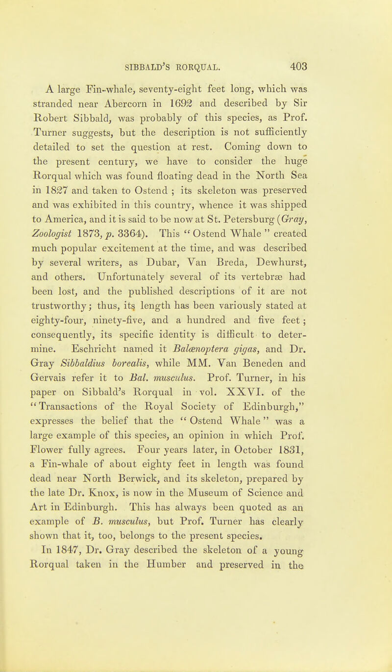 A large Fin-whale, seventy-eight feet long, which was stranded near Abercorn in 1693 and described by Sir Robert Sibbald, was probably of this species, as Prof. Turner suggests, but the description is not sufficiently detailed to set the question at rest. Coming down to the present century, we have to consider the huge Rorqual which was found floating dead in the North Sea in 1827 and taken to Ostend ; its skeleton was preserved and was exhibited in this country, whence it was shipped to America, and it is said to be now at St. Petersburg [Gray, Zoologist 1873, jo. 3364). This Ostend Whale created much popular excitement at the time, and was described by several writers, as Dubar, Van Breda, Dewhurst, and others. Unfortunately several of its vertebrae had been lost, and the published descriptions of it are not trustworthy; thus, its length has been variously stated at eighty-four, ninety-five, and a hundred and five feet; consequently, its specific identity is difficult to deter- mine. Eschricht named it Balcenoptera gigas, and Dr. Gray Sibbaldius borealis, while MM. Van Beneden and Gervais refer it to Bal. musculus. Prof. Turner, in his paper on Sibbald's Rorqual in vol. XXVI. of the Transactions of the Royal Society of Edinburgh, expresses the belief that the Ostend Whale was a large example of this species, an opinion in which Prof. Flower fully agrees. Four years later, in October 1831, a Fin-whale of about eighty feet in length was found dead near North Berwick, and its skeleton, prepared by the late Dr. Knox, is now in the Museum of Science and Art in Edinburgh. This has always been quoted as an example of B. musculus, but Prof. Turner has clearly shown that it, too, belongs to the present species. In 1847, Dr. Gray described the skeleton of a young Rorqual taken in the Humber and preserved in the