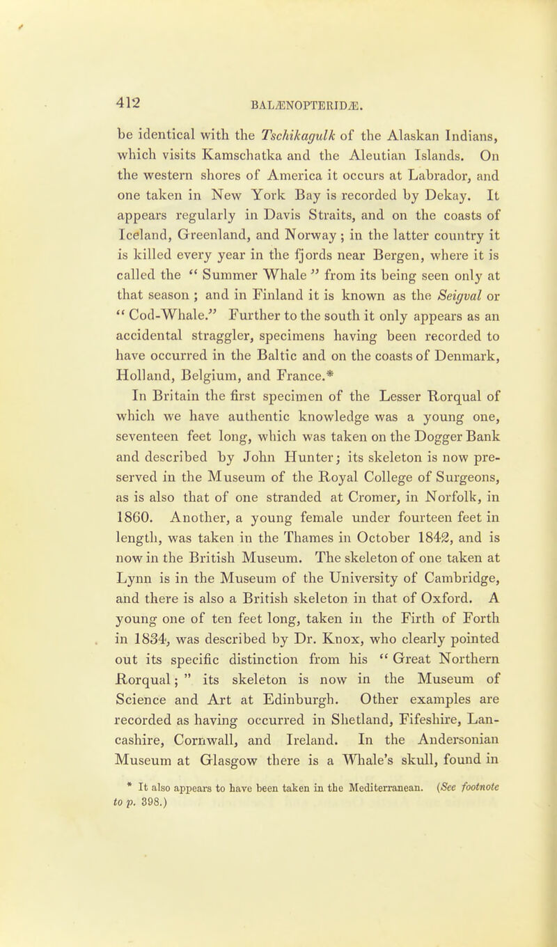 be identical with the Tschikagulk of the Alaskan Indians, which visits Kamschatka and the Aleutian Islands. On the western shores of America it occurs at Labrador, and one taken in New York Bay is recorded by Dekay. It appears regularly in Davis Straits, and on the coasts of Iceland, Greenland, and Norway ; in the latter country it is killed every year in the fjords near Bergen, where it is called the *' Summer Whale  from its being seen only at that season ; and in Finland it is known as the Seigval or ** Cod-Whale/' Further to the south it only appears as an accidental straggler, specimens having been recorded to have occurred in the Baltic and on the coasts of Denmark, Holland, Belgium, and France.* In Britain the first specimen of the Lesser Rorqual of which we have authentic knowledge was a young one, seventeen feet long, which was taken on the Dogger Bank and described by John Hunter; its skeleton is now pre- served in the Museum of the Royal College of Surgeons, as is also that of one stranded at Cromer, in Norfolk, in 1860. Another, a young female under fourteen feet in length, was taken in the Thames in October 1842, and is now in the British Museum. The skeleton of one taken at Lynn is in the Museum of the University of Cambridge, and there is also a British skeleton in that of Oxford. A young one of ten feet long, taken in the Firth of Forth in 1834, was described by Dr. Knox, who clearly pointed out its specific distinction from his  Great Northern Rorqual;  its skeleton is now in the Museum of Science and Art at Edinburgh. Other examples are recorded as having occurred in Shetland, Fifeshii'e, Lan- cashire, Cornwall, and Ireland. In the Andersonian Museum at Glasgow there is a Wliale's skull, found in * It also appears to have been taken in the Mediterranean. (See footnote to p. 398.)
