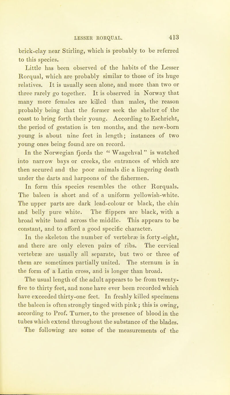 brick-clay near Stirling, which is probably to be referred to this species. Little has been observed of the habits of the Lesser Rorqual, which are probably similar to those of its huge relatives. It is usually seen alone, and more than two or three rarely go together. It is observed in Norway that many more females are killed than males, the reason probably being that the former seek the shelter of the coast to bring forth their young. According to Eschricht, the period of gestation is ten months, and the new-born young is about nine feet in length; instances of two young ones being found are on record. In the Norwegian fjords the  Waagehval  is watched into narrow bays or creeks, the entrances of which are then secured and the poor animals die a lingering death under the darts and harpoons of the fishermen. In form this species resembles the other Rorquals. The baleen is short and of a uniform yellowish-white. The upper parts are dark lead-colour or black, the chin and belly pure white. The flippers are black, with a broad white band across the middle. This appears to be constant, and to afford a good specific character. In the skeleton the number of vertebrae is forty-eight, and there are only eleven pairs of ribs. The cervical vertebrae are usually all separate, but two or three of them are sometimes partially united. The sternum is in the form of a Latin cross, and is longer than broad. The usual length of the adult appears to be from twenty- five to thirty feet, and none have ever been recorded which have exceeded thirty-one feet. In freshly killed specimens the baleen is often strongly tinged with pink; this is owing, according to Prof. Turner, to the presence of blood in the tubes which extend throughout the substance of the blades. The following are some of the measurements of the