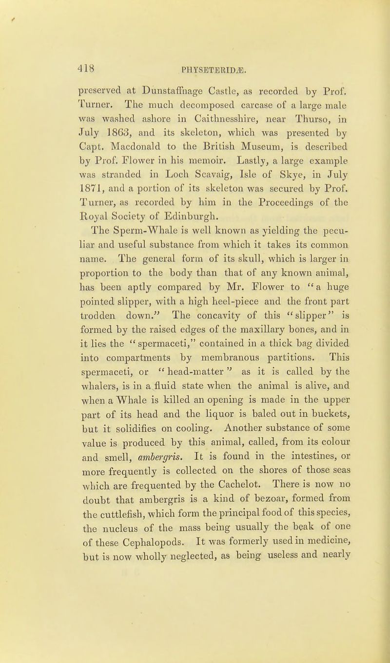 preserved at DunstafFnage Castle, as recorded by Prof. Turner. The much decomposed carcase of a large male was washed ashore in Caithnesshire, near Thurso, in July 1863, and its skeleton, which was presented by Capt. Macdonald to the British Museum, is described by Prof. Flower in his memoir. Lastly, a large example was stranded in Loch Scavaig, Isle of Skye, in July 1871, and a portion of its skeleton was secured by Prof. Turner, as recorded by him in the Proceedings of the Royal Society of Edinburgh. The Sperm-Whale is well known as yielding the pecu- liar and useful substance from which it takes its common name. The general form of its skull, which is larger in proportion to the body than that of any known animal, has been aptly compared by Mr. Flower to  a huge pointed slipper, with a high heel-piece and the front part trodden down. The concavity of this slipper is formed by the raised edges of the maxillary bones, and in it lies the  spermaceti, contained in a thick bag divided into compartments by membranous partitions. This spermaceti, or  head-matter  as it is called by the whalers, is in a fluid state when the animal is alive, and when a Whale is killed an opening is made in the upper part of its head and the liquor is baled out in buckets, but it solidifies on cooling. Another substance of some value is produced by this animal, called, from its colour and smell, ambergris. It is found in the intestines, or more frequently is collected on the shores of those seas which are frequented by the Cachelot. There is now no doubt that ambergris is a kind of bezoar, formed from the cuttlefish, which form the principal food of this species, the nucleus of the mass being usually the beak of one of these Cephalopods. It was formerly used in medicine, but is now wholly neglected, as being useless and nearly