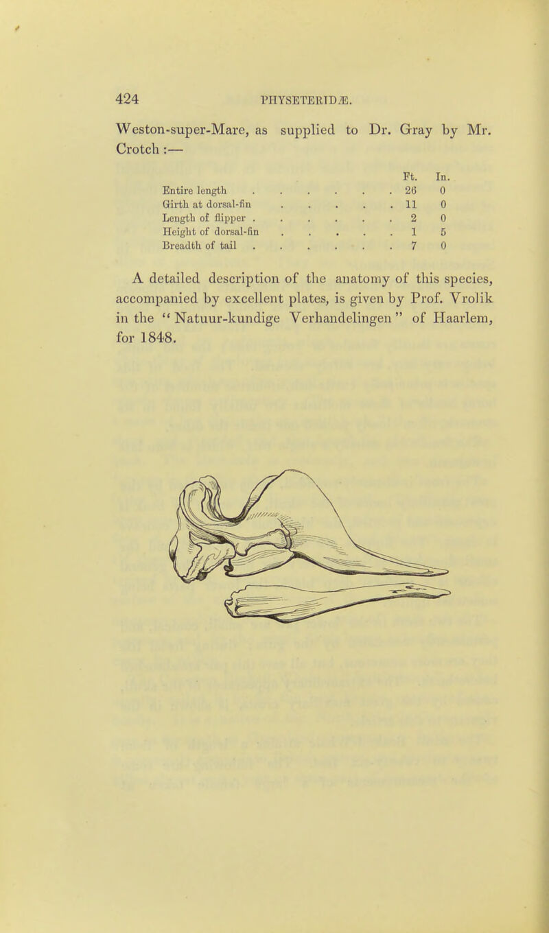 Weston-super-Mare, as supplied to Dr. Gray by Mr. Crotch :— Ft. In. Entire length . 2G 0 Girth at dorsal-fin . 11 0 Length of flipper . . 2 0 Height of dorsal-fin . 1 5 Breadth of tail . 7 0 A detailed description of the anatomy of this species, accompanied by excellent plates, is given by Prof. Vrolik in the  Natuur-kundige Verhandelingen  of Haarlem, for 1848.