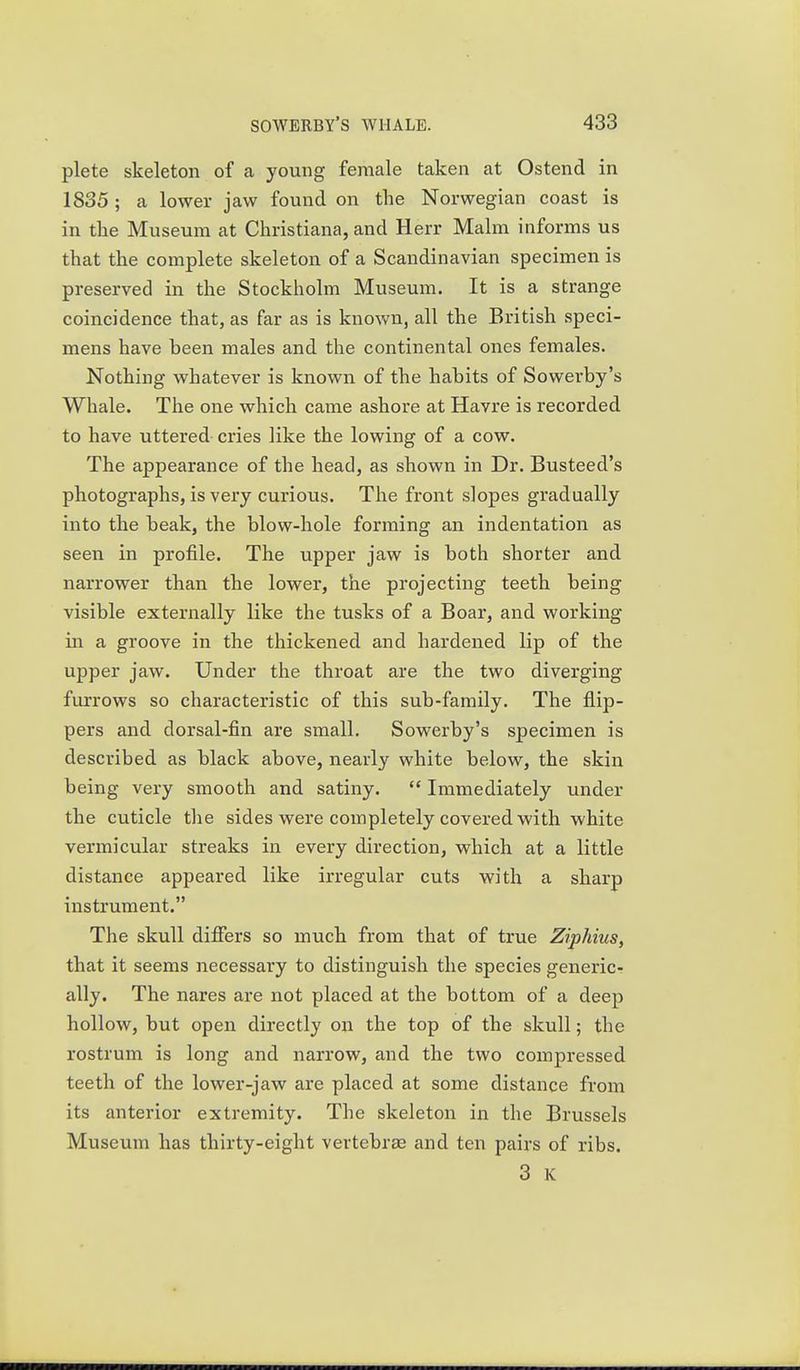 plete skeleton of a young female taken at Ostend in 1835 ; a lower jaw found on the Norwegian coast is in the Museum at Christiana, and Herr Malm informs us that the complete skeleton of a Scandinavian specimen is preserved in the Stockholm Museum. It is a strange coincidence that, as far as is known, all the British speci- mens have been males and the continental ones females. Nothing whatever is known of the habits of Sowerby's Whale. The one which came ashore at Havre is recorded to have uttered cries like the lowing of a cow. The appearance of the head, as shown in Dr. Busteed's photographs, is very curious. The front slopes gradually into the beak, the blow-hole forming an indentation as seen in profile. The upper jaw is both shorter and narrower than the lower, the projecting teeth being visible externally like the tusks of a Boar, and working in a groove in the thickened and hardened lip of the upper jaw. Under the throat are the two diverging furrows so characteristic of this sub-family. The flip- pers and dorsal-fin are small. Sowerby's specimen is described as black above, nearly white below, the skin being very smooth and satiny.  Immediately under the cuticle the sides were completely covered with white vermicular streaks in every direction, which at a little distance appeared like irregular cuts with a sharp instrument. The skull diflEers so much from that of true Ziphius, that it seems necessary to distinguish the species generic- ally. The nares are not placed at the bottom of a deep hollow, but open directly on the top of the skull; the rostrum is long and narrow, and the two compressed teeth of the lower-jaw are placed at some distance from its anterior extremity. The skeleton in the Brussels Museum has thirty-eight vertebrae and ten pairs of ribs. 3 K