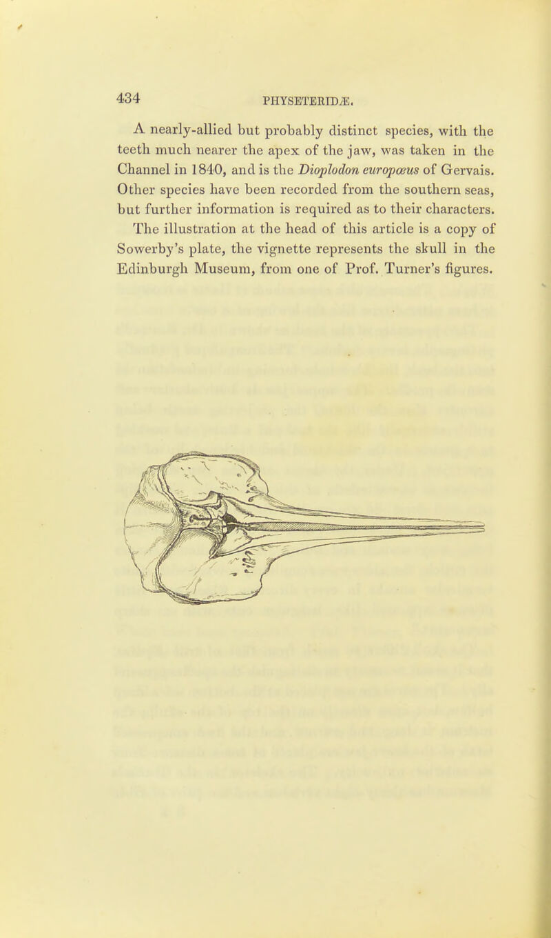 A nearly-allied but probably distinct species, with the teeth much nearer the apex of the jaw, was taken in the Channel in 1840, and is the Dioplodon europosus of Gervais. Other species have been recorded from the southern seas, but further information is required as to their characters. The illustration at the head of this article is a copy of Sowerby's plate, the vignette represents the skull in the Edinburgh Museum, from one of Prof. Turner's figures.