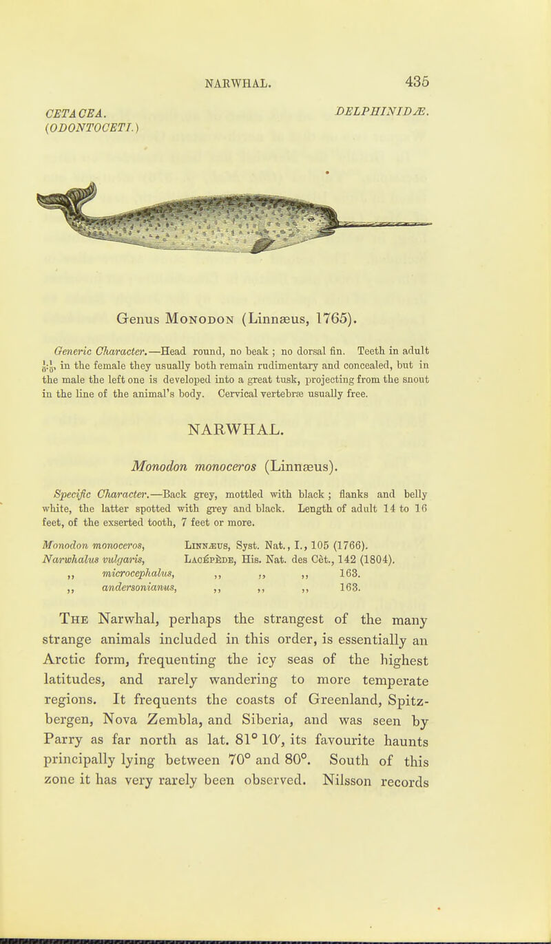 GET ACE A. {ODONTOOETI.) NARWflAL. 435 DELPHINIDJE. Genus Monodon (Linnaeus, 1765). Generic Character.—Head round, no beak ; no dorsal fin. Teeth in adult in tlie female they usually both remain rudimentary and concealed, but in the male the left one is developed Into a great tusk, projecting from the snout in the line of the animal's body. Cervical vertebrse usually free. NARWHAL. Monodon monoceros (LinuEeus). Specific Character.—Back grey, mottled with black ; flanks and belly white, the latter spotted with gi-ey and black. Length of adult 14 to 16 feet, of the exserted tooth, 7 feet or more. Monodon monoceros, Linn^us, Syst. Nat., I., 105 (1766). Narwhalus vulr/ans, LaoepIide, His. Nat. des Get., 142 (1804). ,, microcephalus, ,, ,, 163. anderaonianus, ,, ,, ,, 163. The Narwhal, perhaps the strangest of the many strange animals included in this order, is essentially an Arctic form, frequenting the icy seas of the highest latitudes, and rarely wandering to more temperate regions. It frequents the coasts of Greenland, Spitz- bergen. Nova Zembla, and Siberia, and was seen by Parry as far north as lat. 81° 10', its favourite haunts principally lying between 70° and 80°. South of this zone it has very rarely been observed. Nilsson records