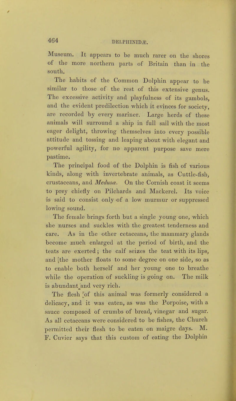 Museum. It appears to be much rarer on the shores of the more northern parts of Britain than in the south. The habits of the Common Dolphin appear to be similar to those of the rest of this extensive genus. The excessive activity and playfulness of its gambols, and the evident predilection which it evinces for society, are recorded by every mariner. Large herds of these animals will surround a ship in full sail with the most eager delight, throwing themselves into every possible attitude and tossing and leaping about with elegant and powerful agility, for no apparent purpose save mere pastime. The principal food of the Dolphin is fish of various kinds, along with invertebrate animals, as Cuttle-fish, crustaceans, and Medusa;. On the Cornish coast it seems to prey chiefly on Pilchards and Mackerel. Its voice is said to consist only of a low munnur or suppressed lowing sound. The female brings forth but a single young one, which she nurses and suckles with the greatest tenderness and care. As in the other cetaceans, the mammary glands become much enlarged at the period of birth, and the teats are exerted; the calf seizes the teat with its lips, and [the mother floats to some degree on one side, so as to enable both herself and her young one to breathe while the operation of suckling is going on. The milk is abundant_and very rich. The flesh '[of this animal was formerly considered a delicacy, and it was eaten, as was the Porpoise, with a sauce composed of crumbs of bread, vinegar and sugar. As all cetaceans were considered to be fishes, the Church permitted their flesh to be eaten on maigre days. M. F. Cuvier says that this custom of eating the Dolphin