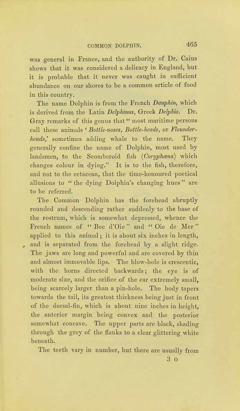 was general in France, and the authority of Dr. Caius shows that it was considered a delicacy in England, but it is probable that it never was caught in sufficient abundance on our shores to be a common article of food in this country. The name Dolphin is from the French Dauphin, which is derived from the Latin Delphinus, Greek Delphis. Dr. Gray remarks of this genus that most maritime persons call these animals ' Bottle-noses, Bottle-heads, or Flounder- heads,' sometimes adding whale to the name. They generally confine the name of Dolphin, most used by landsmen, to the Scomberoid fish {Coryphcena) which changes colour in dying. It is to the fish, therefore, and not to the cetacean, that the time-honoured poetical allusions to  the dying Dolphin's changing hues are to be referred. The Common Dolphin has the forehead abruptly rounded and descending rather suddenly to the base of the rostrum, which is somewhat depressed, whence the French names of  Bee d'Oie and  Oie de Mer applied to this animal; it is about six inches in length, , and is separated from the forehead by a slight ridge. The jaws are long and powerful and are covered by thin and almost immovable lips. The blow-hole is crescentic, with the horns directed backwards; the eye is of moderate size, and the orifice of the ear extremely small, being scarcely larger than a pin-hole. The body tapers towards the tail, its greatest thickness being just in front of the dorsal-fin, which is about nine inches in height, the anterior margin being convex and the posterior somewhat concave. The upper parts are black, shading through the grey of the flanks to a clear glittering white beneath. The teeth vary in number, but there are usually from 3 0