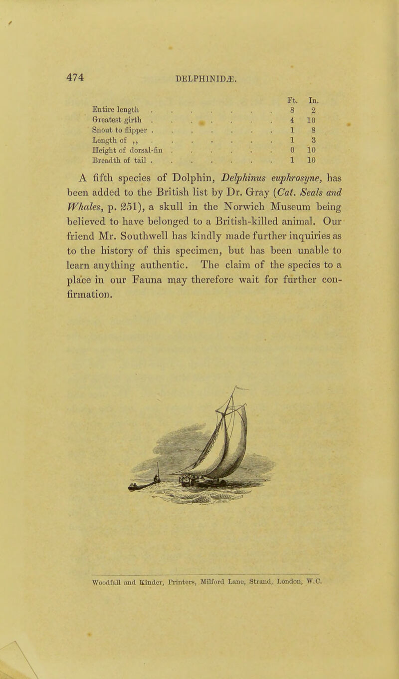 Ft. In. Entire lengtli 8 2 Greatest girth 4 10 Snout to flipper ....... 1 8 Length of ,, . ...... 1 3 Height of dorsal-fin 0 10 Breadth of tail 1 10 A fifth species of Dolphin, Delphinus euphrosyne, has been added to the British list by Dr. Gray {Cat. Seals and Whales, p. 251), a skull in the Norwich Museum being believed to have belonged to a British-killed animal. Our friend Mr. Southwell has kindly made further inquiries as to the history of this specimen, but has been unable to learn anything authentic. The claim of the species to a place in our Fauna may therefore wait for further con- firmation. Woodfall and Kinder, Printers, Milford Lane, Sti-aud, London, W.C.