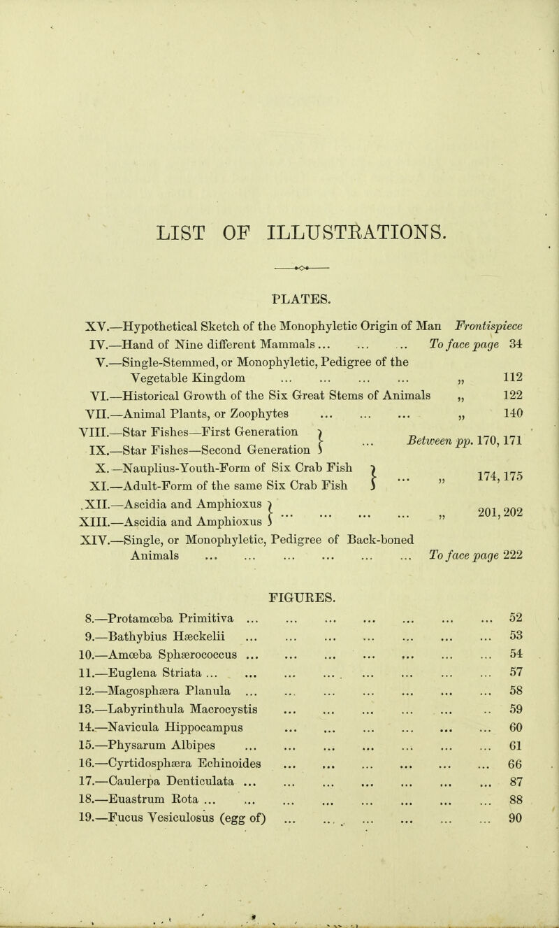 LIST OF ILLUSTEATIONS. PLATES. XV.—Hypothetical Sketch of the Monophyletic Origin of Man Frontispiece IV.—Hand of Nine different Mammals To face page 34 V.—Single-Stemmed, or Monophyletic, Pedigree of the Vegetable Kingdom ... ... ... ... „ 112 VI.—Historical Growth of the Six Great Stems of Animals „ 122 VII.—Animal Plants, or Zoophytes „ 140 VIII.—Star Fishes—First Generation 7 „ ^r,r. \ ... Between pp. no, 111 IX.—Star Fishes—Second Generation 3 X.—Nauplius-Youth-Form of Six Crab Fish ^ 174 175 XI.—Adult-Form of the same Six Crab Fish S   ' .XII.—Ascidia and Amphioxus 1 XIII. —Ascidia and Amphioxus 3 ' XIV. —Single, or Monophyletic, Pedigree of Back-boned Animals ... To face page 222 FIGURES. 8. —Protamoeba Primitiva 52 9. —Bathybius Hseckelii 53 10. —Amoeba Sphserococcus 54 11. —Euglena Striata ... ... ... ... , ... ... ... ... 57 12. —Magosphsera Planula ... ... ... ... ... ... ... 58 13. —Labyrinthula Macrocystis ... .. 59 14.,—Navicula Hippocampus ... ... ... ... 60 15. —Physarum Albipes ... ... ... ... ... ... ... 61 16. —Cyrtidosphsera Echinoides 66 17. —Caulerpa Denticulata ... ... ... ... ... ... ... 87 18. —Euastrum Rota ... 88 19. —Fucus Vesiculosus (egg of) 90