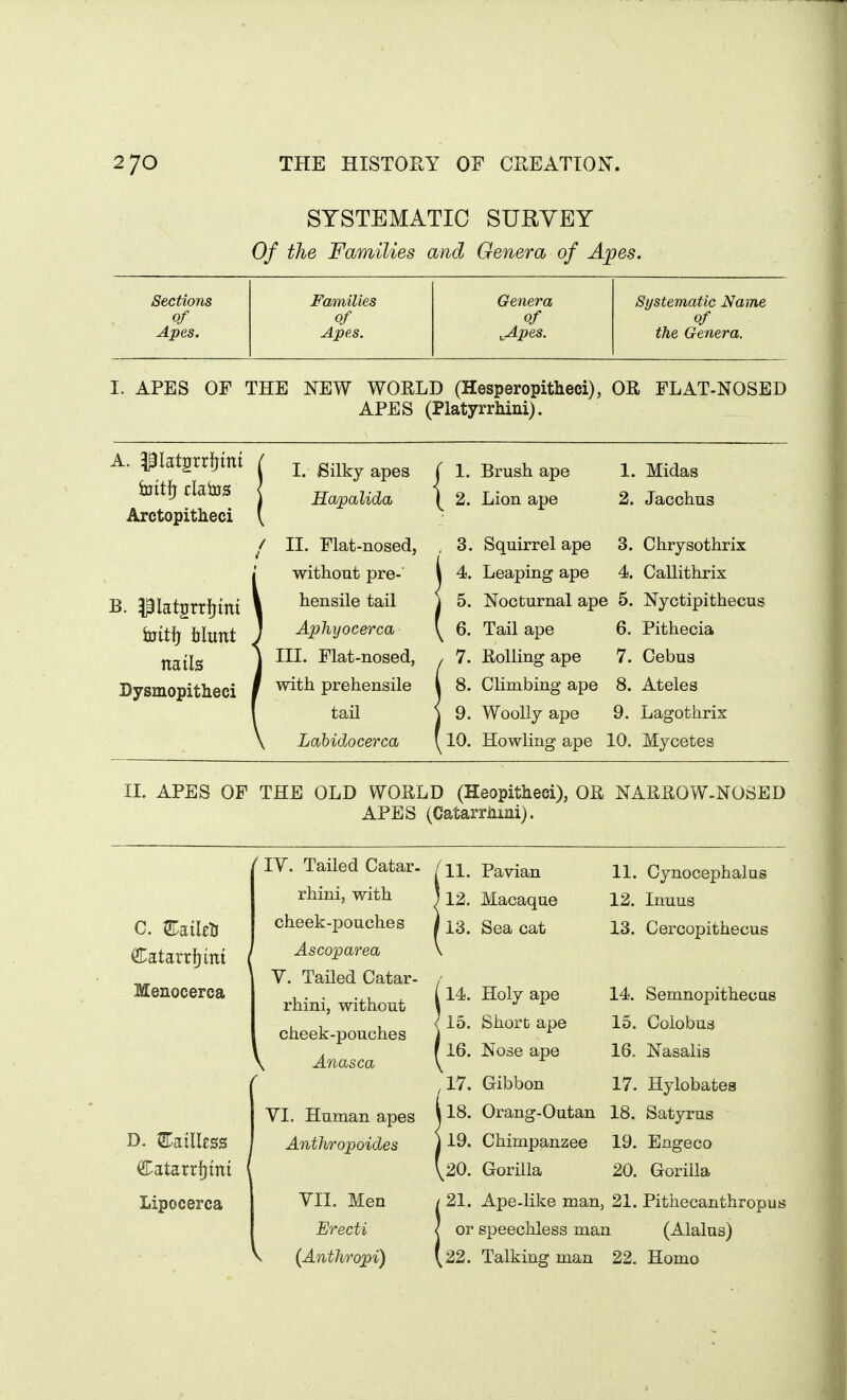 SYSTEMATIC SURVEY Of the Families and Genera of Apes. Sections Families Genera Systematic Name of of of of Apes. Apes. ^pes. the Genera. I. APES OF THE NEW WORLD (Hesperopitheci), OR FLAT-NOSBD APES (Platyrrhini). A. piatgrrfjmt bjttfj clabjs Arctopitheci B initfj blunt nails Dysmopitheci I. 8ilky apes Hapalida I II. Flat-nosed, without pre- hensile tail A'p'hyocercd III. Flat-nosed, with prehensile tail Lahidocerca 1. Brush ape 2. Lion ape 1. Midas 2. Jacchus 3. Squirrel ape 3. 4. Leaping ape 4. 5. Nocturnal ape 5. 6. Tail ape 6. 7. Rolling ape 7. 8. Climbing ape 8, 9. Woolly ape 9. 10. Howling ape 10. Chrysothrix Callithrix Nyctipithecus Pithecia Cebus Ateles Lagothrix Mycetes II. APES OF THE OLD WORLD (Heopitheci), OR NARROW-NOSED APES (Catarriimi). C. Eailcti Catarrfjini Menocerca ly. Tailed Catar. rhini, with cheek-pouches Ascoparea Y. Tailed Catar- rhini, without cheek-pouches Anasca VI. Human D. EkHUss Catarrfjtni Lipocerca apes Anthropoides VII. Men Erecti (Anthropi) /ll. Pavian ; 12. Macaque /13, Sea cat 11. Cynocephalus 12. Inuus 13. Cercopithecus 14. Holy ape 14. 15. Short ape 15. 16. Nose ape 16. 17. Gibbon 17. 18. Orang-Outan 18. 19. Chimpanzee 19. ^20. Gorilla 20. 21. Ape-like man, 21. or speechless man ,22. Talking man 22. Semnopithecas Colobus Nasalis Hylobates Satyrus Engeco Gorilla Pi the canthrop u s (Alalus) Homo