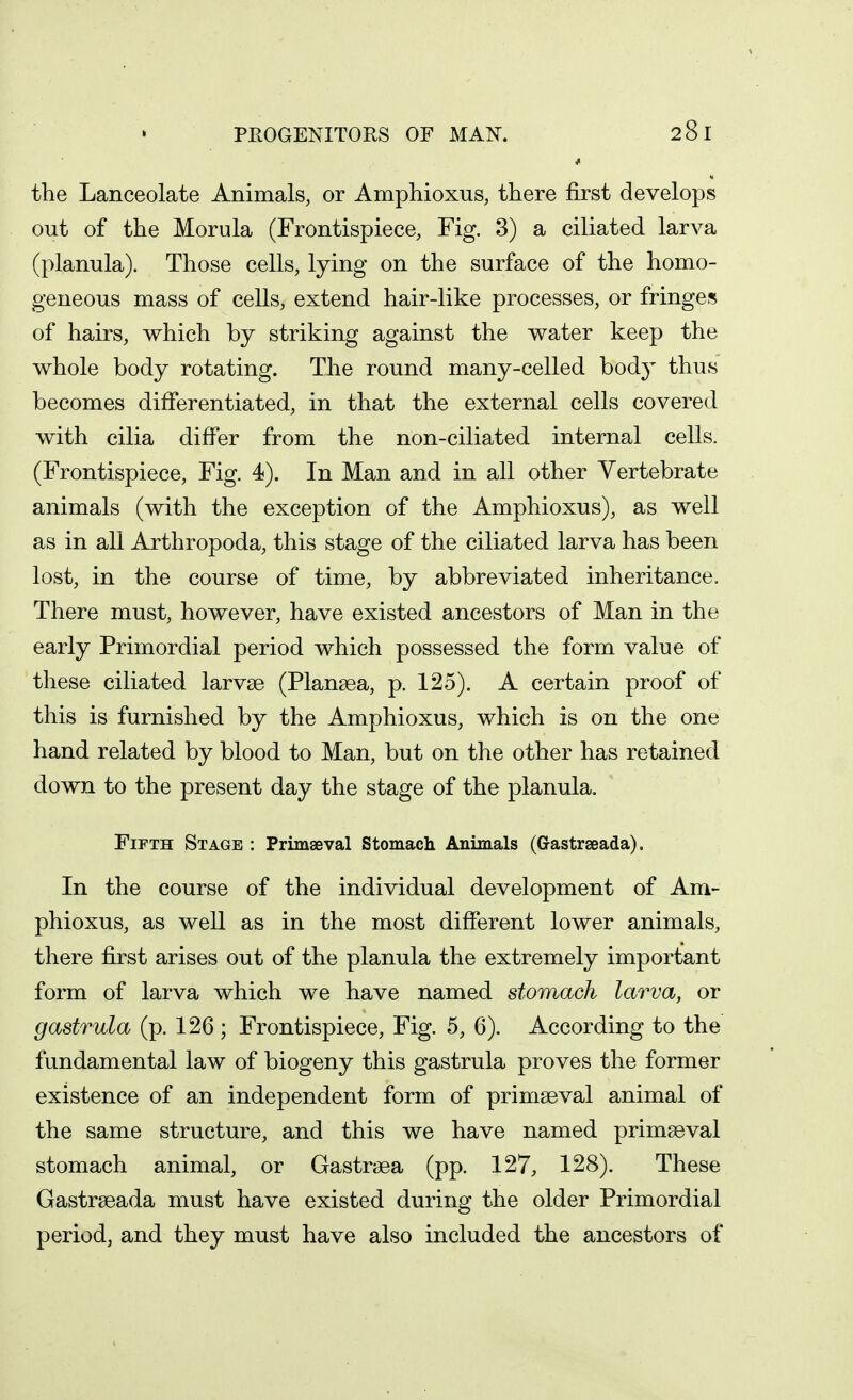the Lanceolate Animals, or Amphioxus, there first develops out of the Morula (Frontispiece, Fig. 3) a ciliated larva (planula). Those cells, lying on the surface of the homo- geneous mass of cells, extend hair-like processes, or fringes of hairs, which by striking against the water keep the whole body rotating. The round many-celled body thus becomes differentiated, in that the external cells covered with cilia differ from the non-ciliated internal cells. (Frontispiece, Fig. 4). In Man and in all other Vertebrate animals (with the exception of the Amphioxus), as well as in all Arthropoda, this stage of the ciliated larva has been lost, in the course of time, by abbreviated inheritance. There must, however, have existed ancestors of Man in the early Primordial period which possessed the form value of these ciliated larvae (Plansea, p. 125). A certain proof of this is furnished by the Amphioxus, which is on the one hand related by blood to Man, but on the other has retained down to the present day the stage of the planula. Fifth Stage : Primaeval Stomach Animals (Gastrseada). In the course of the individual development of Am- phioxus, as well as in the most different lower animals, there first arises out of the planula the extremely important form of larva which we have named stomach larva, or gastrula (p. 126; Frontispiece, Fig. 5, 6). According to the fundamental law of biogeny this gastrula proves the former existence of an independent form of primaeval animal of the same structure, and this we have named primaeval stomach animal, or Gastrsea (pp. 127, 128). These Gastrseada must have existed during the older Primordial period, and they must have also included the ancestors of