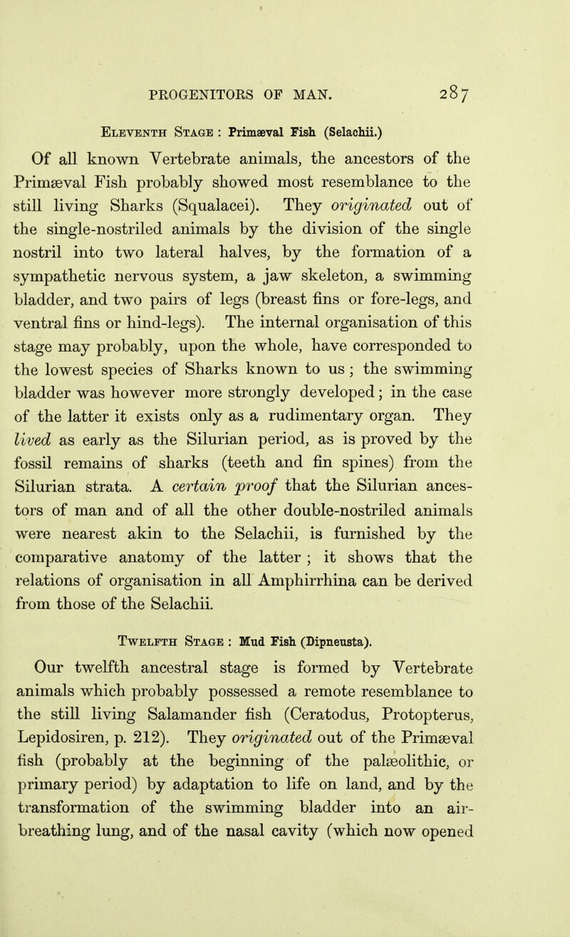 Eleventh Stage : Primaeval Fish (Selachii.) Of all known Vertebrate animals, the ancestors of the Primseval Fish probably showed most resemblance to the still living Sharks (Squalacei). They originated out of the single-nostriled animals by the division of the single nostril into two lateral halves, by the formation of a sympathetic nervous system, a jaw skeleton, a swimming bladder, and two pairs of legs (breast fins or fore-legs, and ventral fins or hind-legs). The internal organisation of this stage may probably, upon the whole, have corresponded to the lowest species of Sharks known to us; the swimming bladder was however more strongly developed; in the case of the latter it exists only as a rudimentary organ. They lived as early as the Silurian period, as is proved by the fossil remains of sharks (teeth and fin spines) from the Silurian strata. A certain proof that the Silurian ances- tors of man and of all the other double-nostriled animals were nearest akin to the Selachii, is furnished by the comparative anatomy of the latter ; it shows that the relations of organisation in all Amphirrhina can be derived from those of the Selachii. Twelfth Stage : Mud Fish (Dipneusta). Our twelfth ancestral stage is formed by Vertebrate animals which probably possessed a remote resemblance to the still living Salamander fish (Ceratodus, Protopterus, Lepidosiren, p. 212). They originated out of the Primaeval fish (probably at the beginning of the palaeolithic, or primary period) by adaptation to life on land, and by the transformation of the swimming bladder into an air- breathing lung, and of the nasal cavity (which now opened