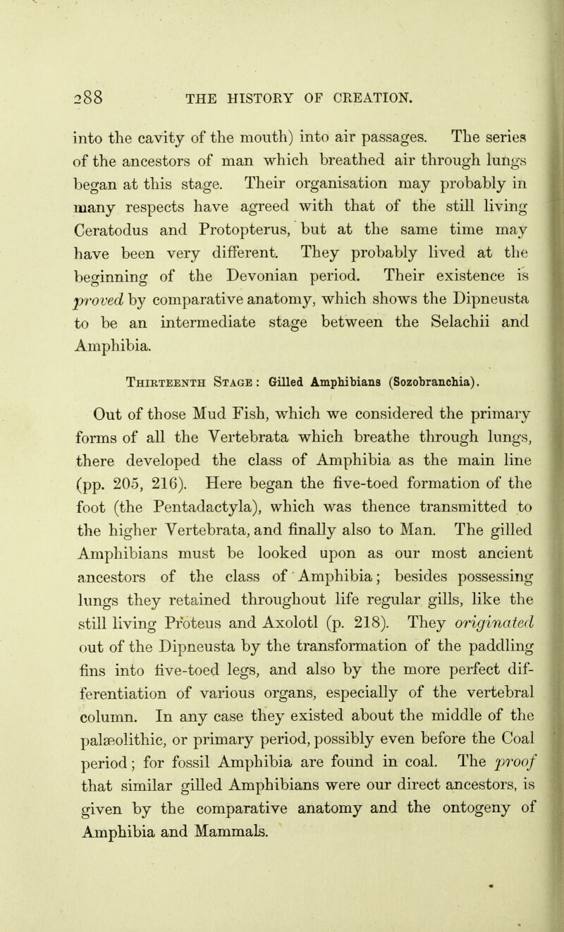 into the cavity of the mouth) into air passages. The series of the ancestors of man which breathed air through kings began at this stage. Their organisation may probably in many respects have agreed with that of the still living Ceratodus and Protopterus, but at the same time may have been very different. They probably lived at the beginning of the Devonian period. Their existence is proved by comparative anatomy, which shows the Dipneusta to be an intermediate stage between the Selachii and Amphibia. Thirteenth Stage : Gilled Ampliibians (Sozobranchia). Out of those Mud Fish, which we considered the primary forms of all the Vertebrata which breathe through lungs, there developed the class of Amphibia as the main line (pp. 205, 216). Here began the five-toed formation of the foot (the Pentadactyla), which was thence transmitted to the higher Yertebrata, and finally also to Man. The gilled Amphibians must be looked upon as our most ancient ancestors of the class of Amphibia; besides possessing lungs they retained throughout life regular gills, like the still living Proteus and Axolotl (p. 218). They originated out of the Dipneusta by the transformation of the paddling fins into five-toed legs, and also by the more perfect dif- ferentiation of various organs, especially of the vertebral column. In any case they existed about the middle of the palaeolithic, or primary period, possibly even before the Coal period; for fossil Amphibia are found in coal. The proof that similar gilled Amphibians were our direct ancestors, is given by the comparative anatomy and the ontogeny of Amphibia and Mammak.