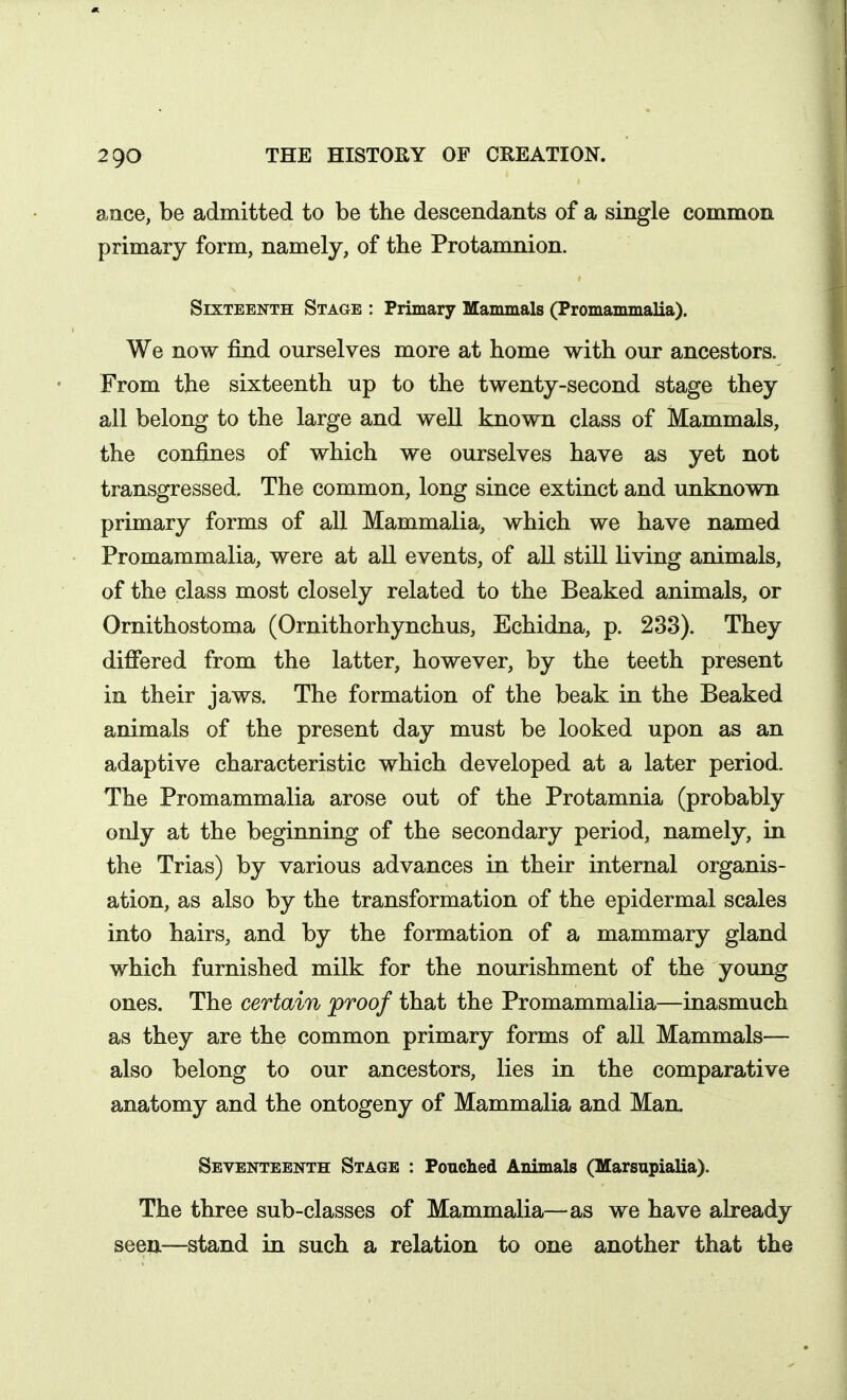 ance, be admitted to be the descendants of a single common primary form, namely, of the Protamnion. Sixteenth Stage : Primary Mammals (Promammalia). We now find ourselves more at home with our ancestors. From the sixteenth up to the twenty-second stage they all belong to the large and well known class of Mammals, the confines of which we ourselves have as yet not transgressed. The common, long since extinct and unknown primary forms of all Mammalia, which we have named Promammalia, were at all events, of all still living animals, of the class most closely related to the Beaked animals, or Ornithostoma (Ornithorhynchus, Echidna, p. 233). They differed from the latter, however, by the teeth present in their jaws. The formation of the beak in the Beaked animals of the present day must be looked upon as an adaptive characteristic which developed at a later period. The Promammalia arose out of the Protamnia (probably only at the beginning of the secondary period, namely, in the Trias) by various advances in their internal organis- ation, as also by the transformation of the epidermal scales into hairs, and by the formation of a mammary gland which furnished milk for the nourishment of the young ones. The certain proof that the Promammalia—inasmuch as they are the common primary forms of all Mammals— also belong to our ancestors, lies in the comparative anatomy and the ontogeny of Mammalia and Man. Seventeenth Stage : Pouched Animals (Marsupialia). The three sub-classes of Mammalia—as we have already seen—stand in such a relation to one another that the